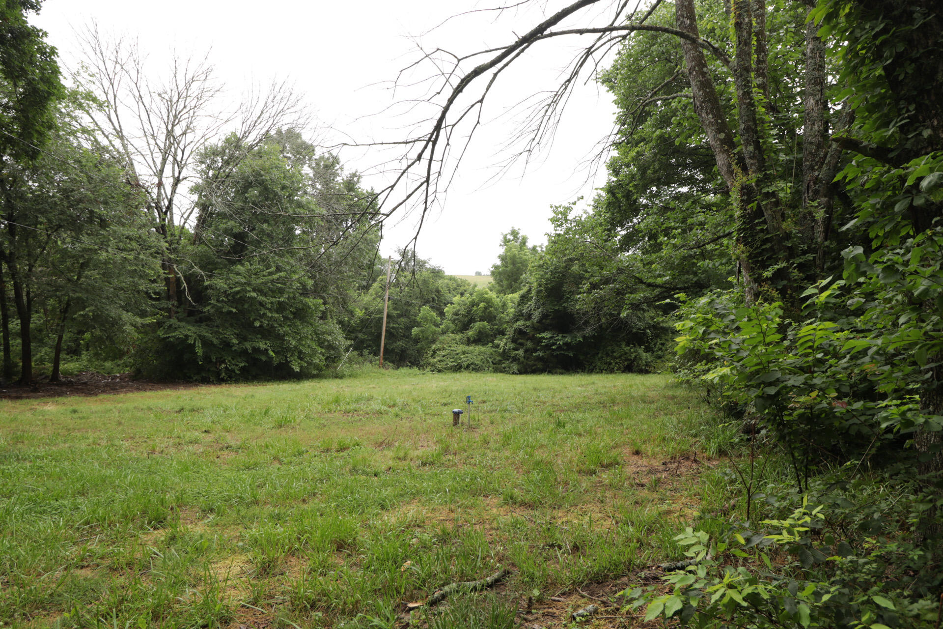 406 Horner Drive Property Photo 25