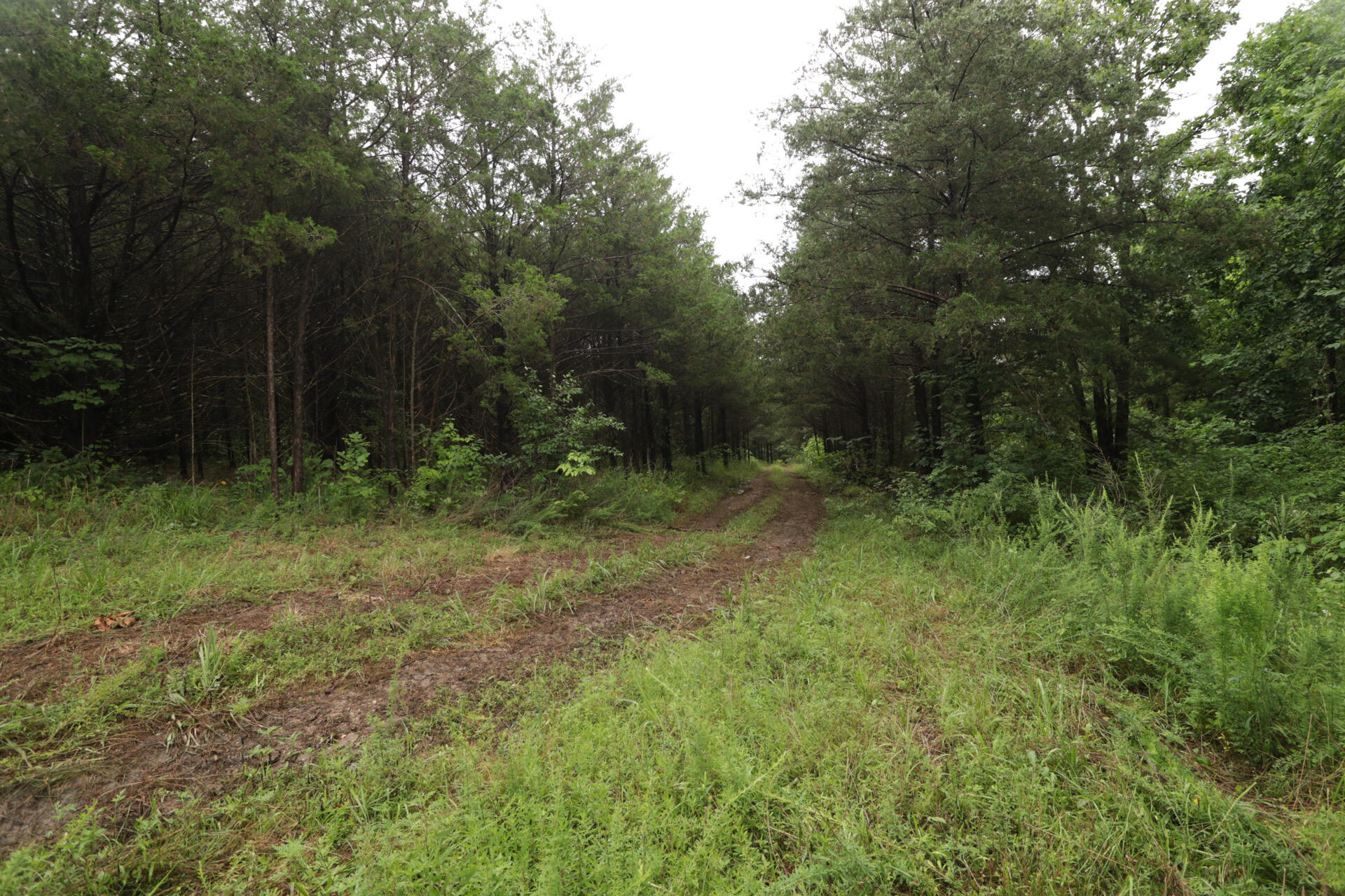 406 Horner Drive Property Photo 26