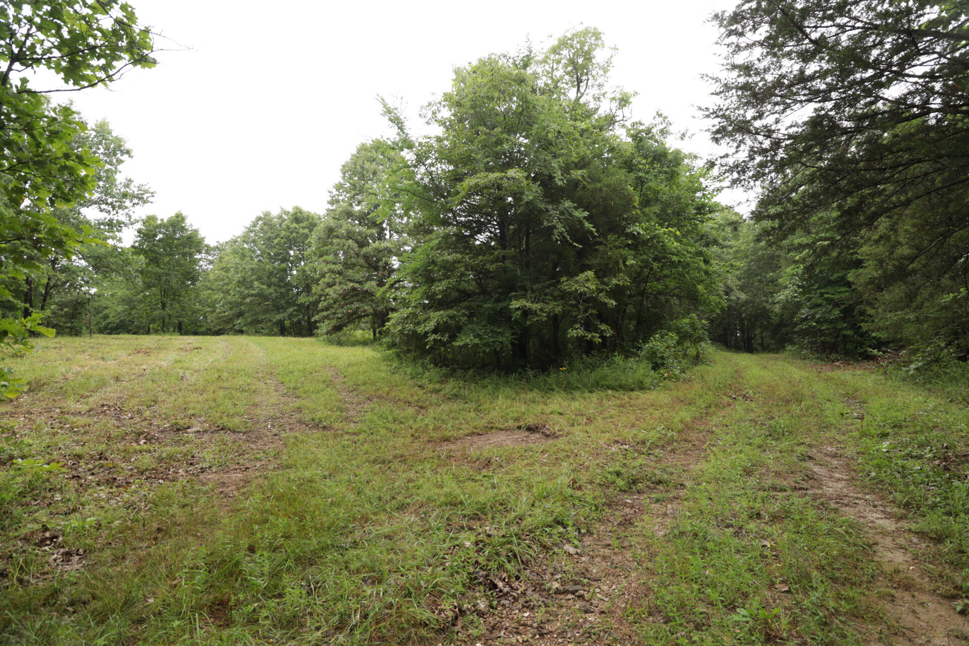 406 Horner Drive Property Photo 28