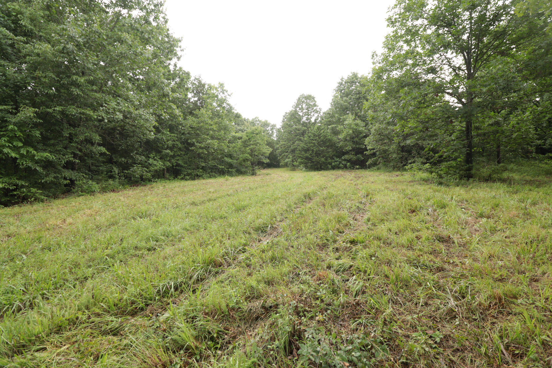 406 Horner Drive Property Photo 29