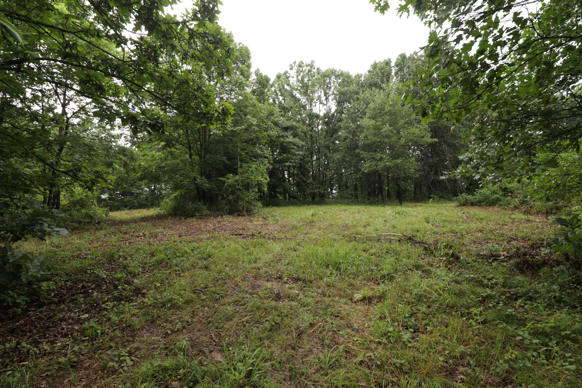 406 Horner Drive Property Photo 31