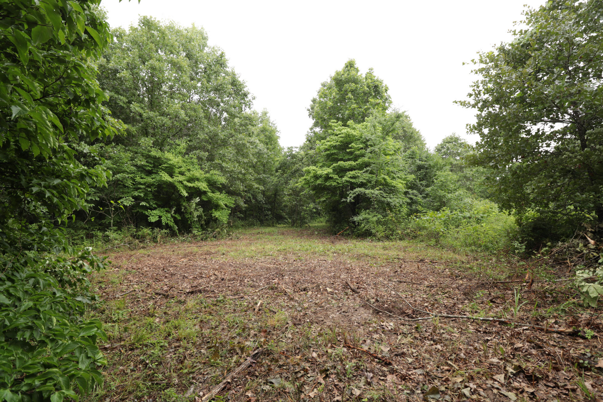 406 Horner Drive Property Photo 33