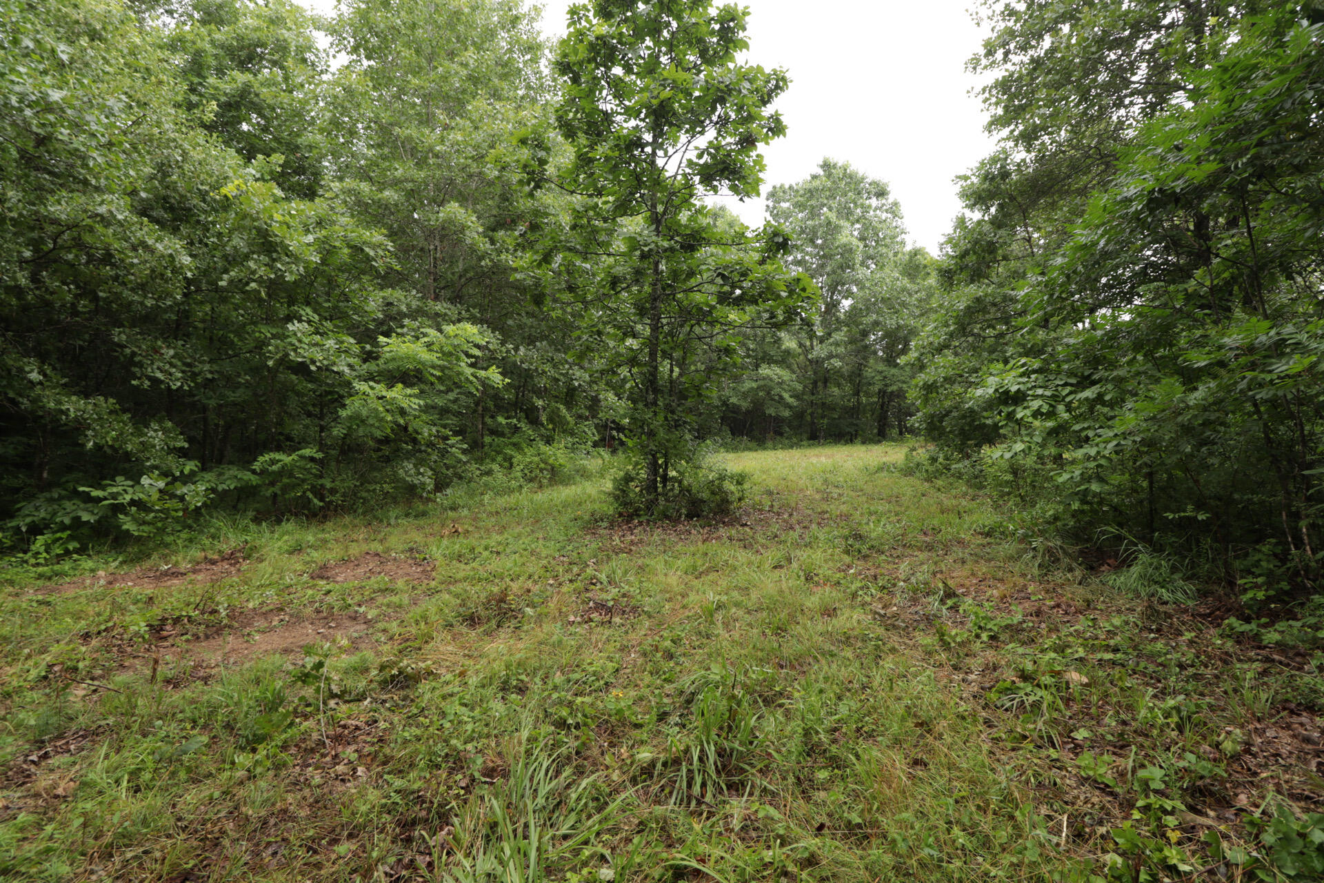 406 Horner Drive Property Photo 34