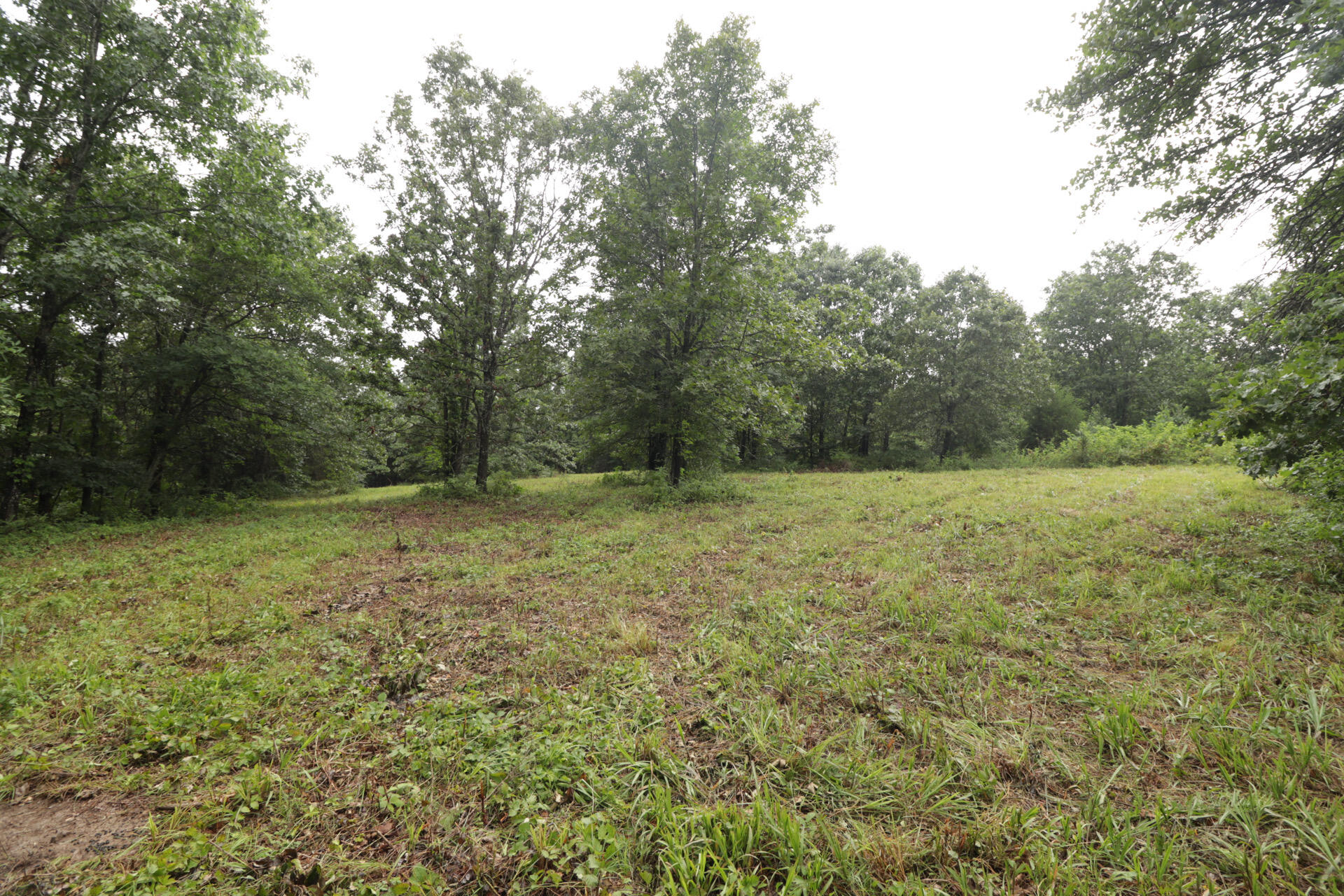 406 Horner Drive Property Photo 35