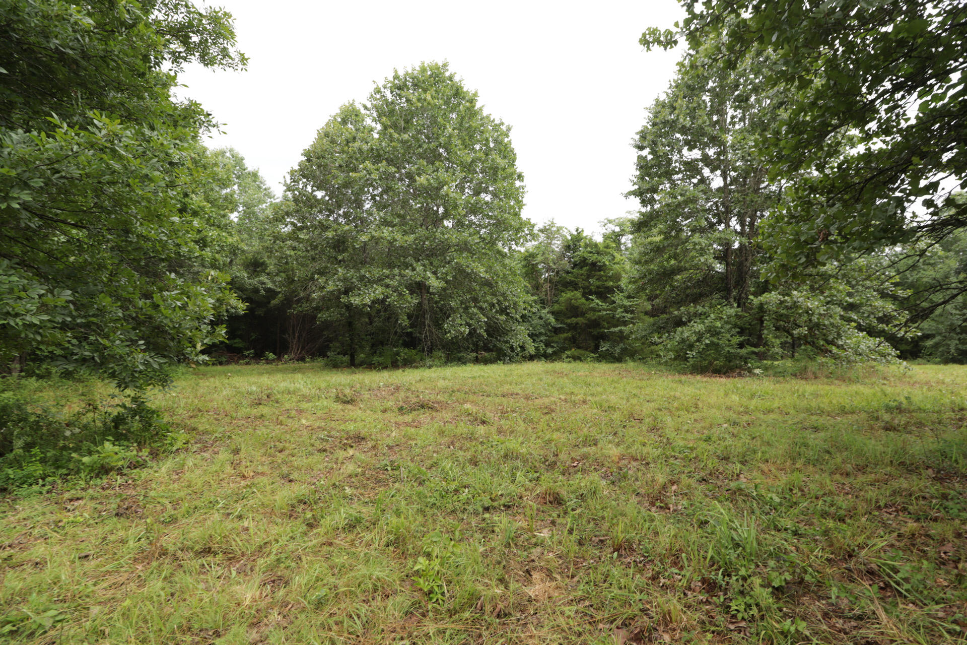 406 Horner Drive Property Photo 36