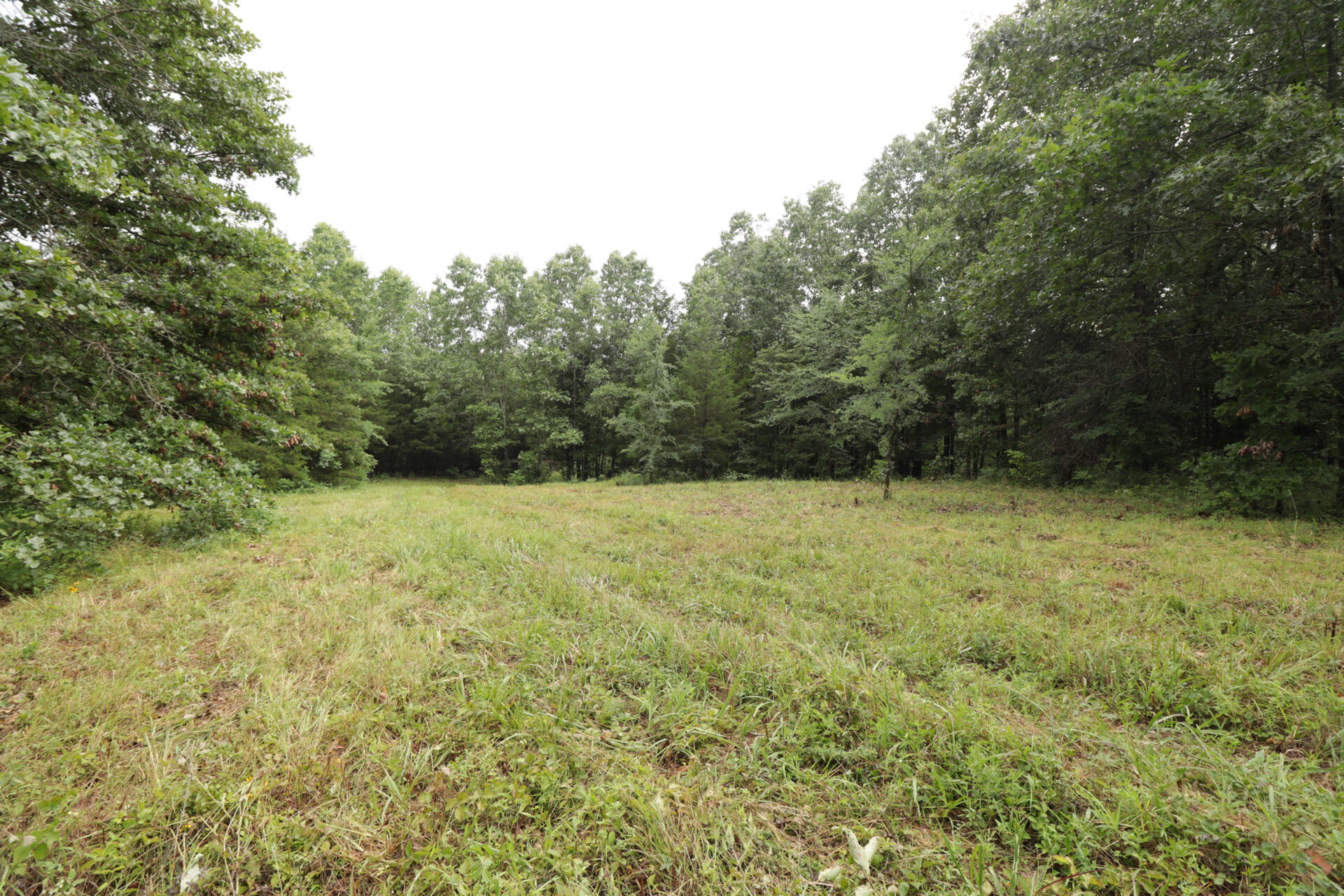 406 Horner Drive Property Photo 37