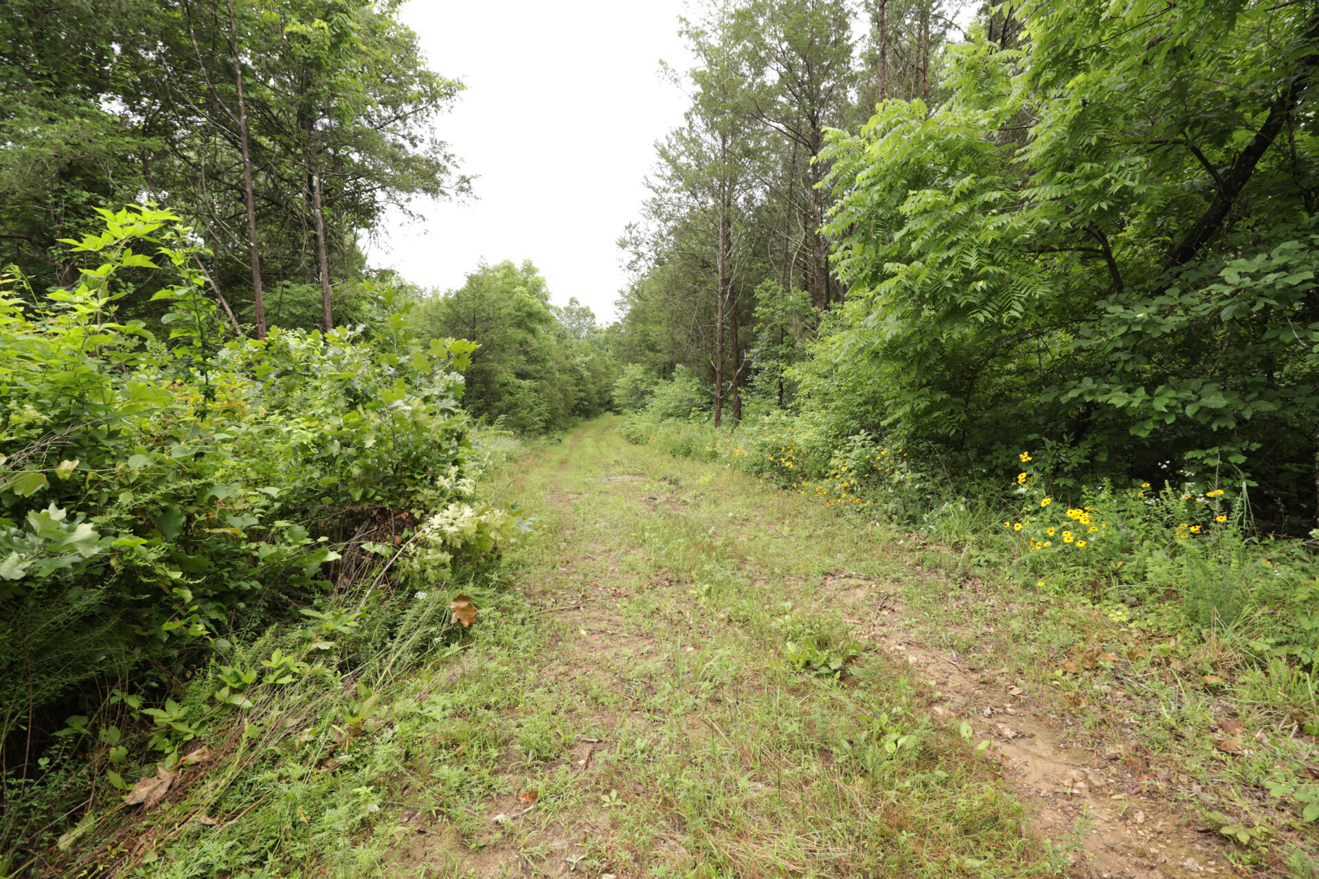 406 Horner Drive Property Photo 41