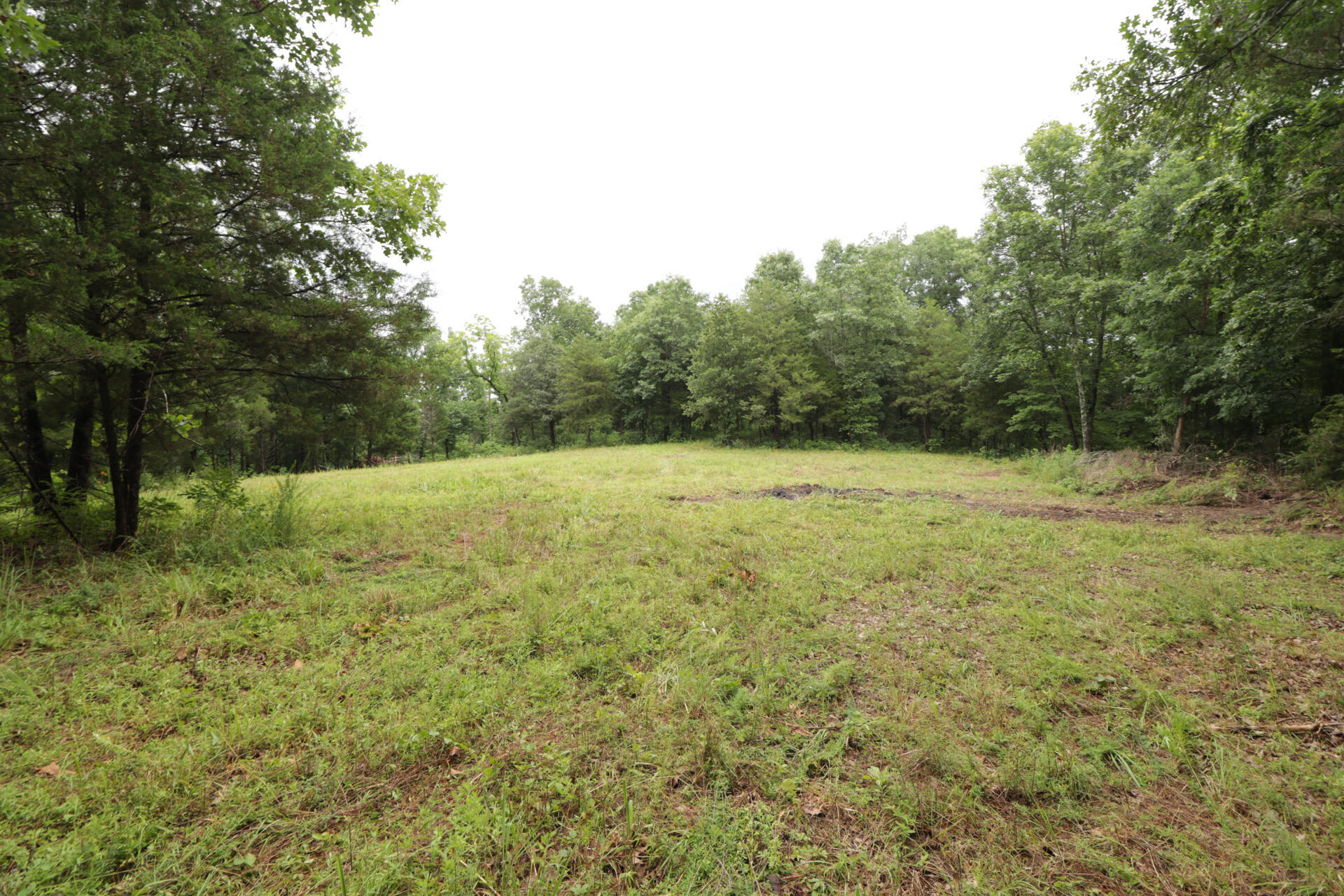 406 Horner Drive Property Photo 43