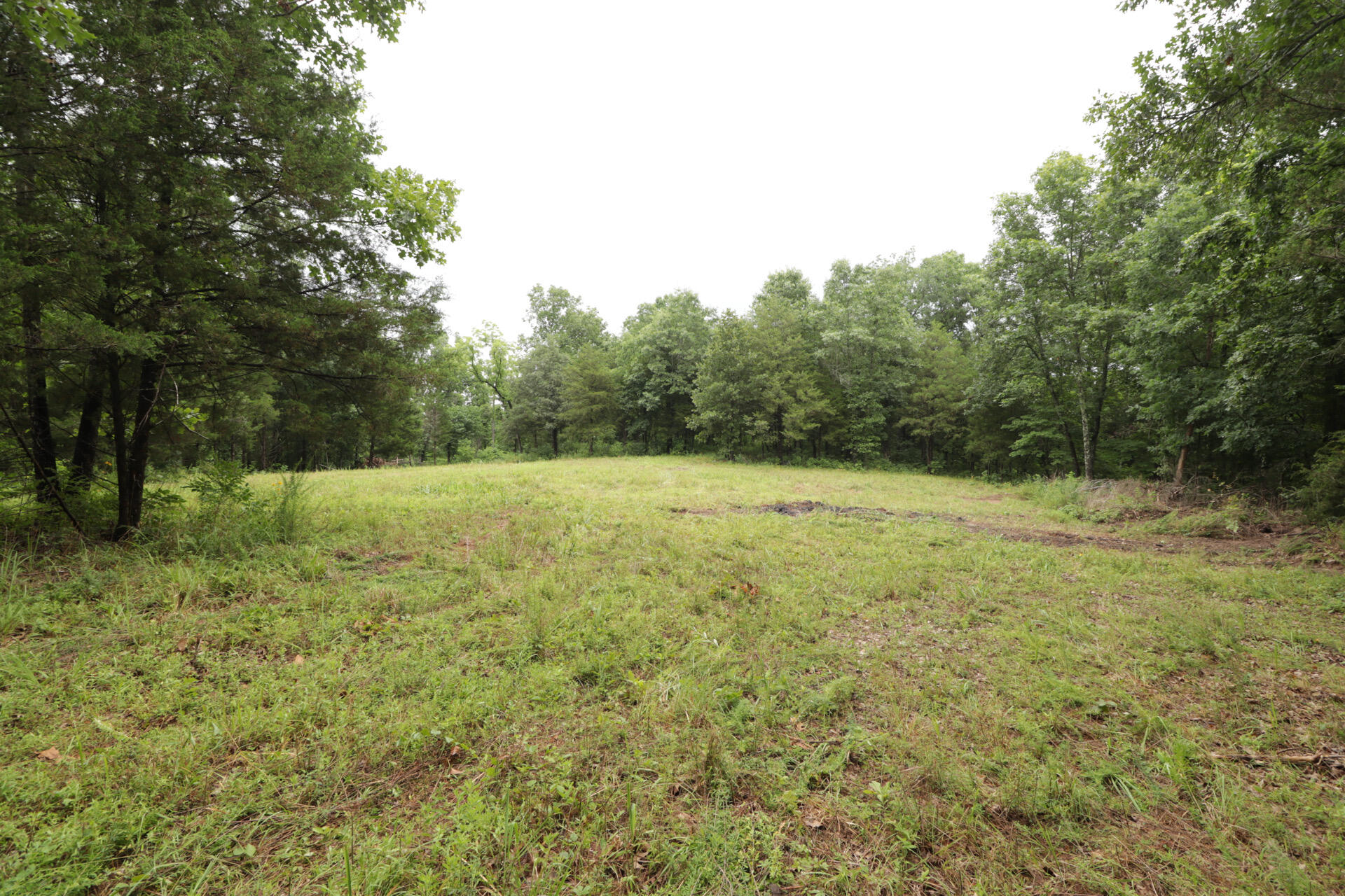406 Horner Drive Property Photo 44
