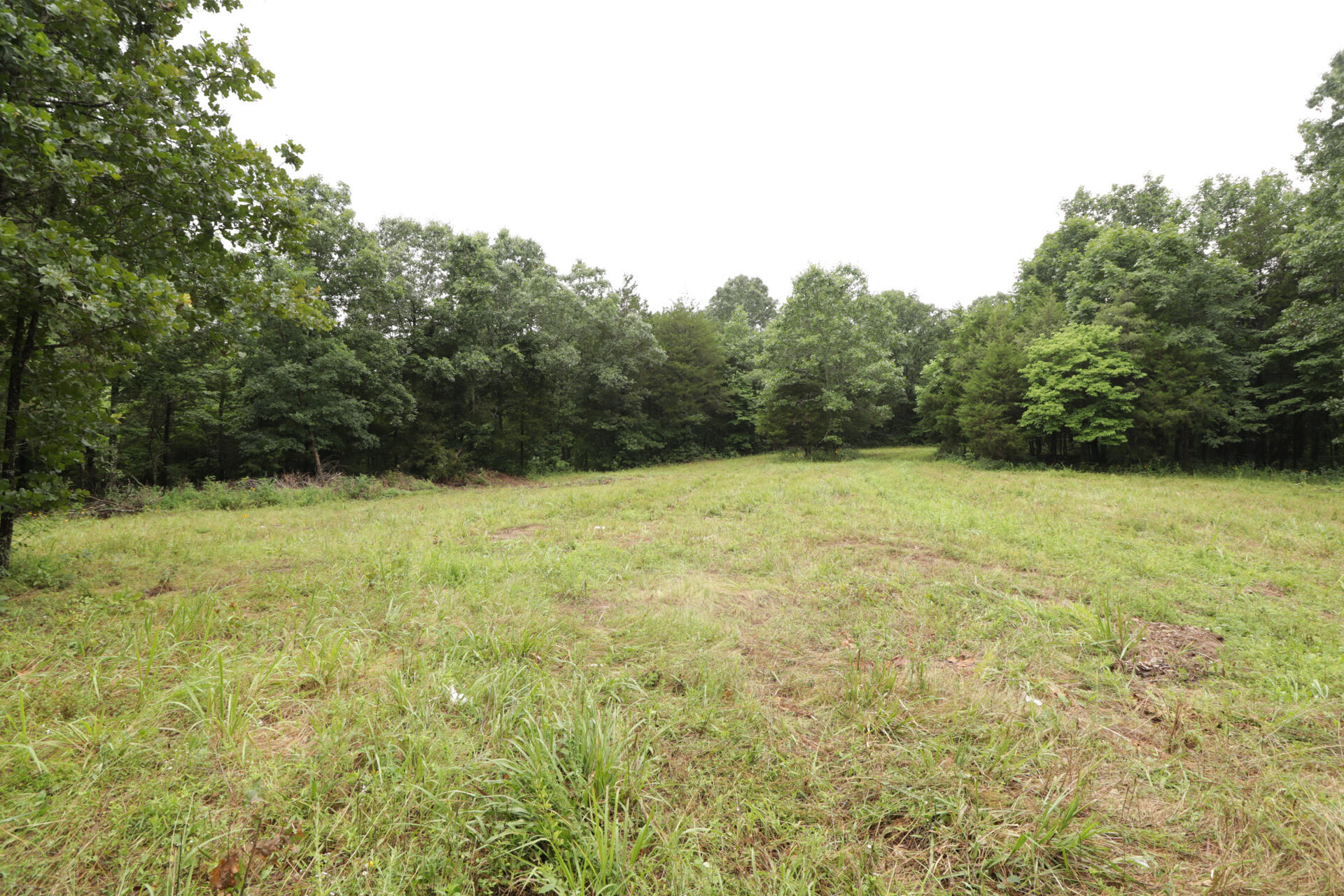 406 Horner Drive Property Photo 45