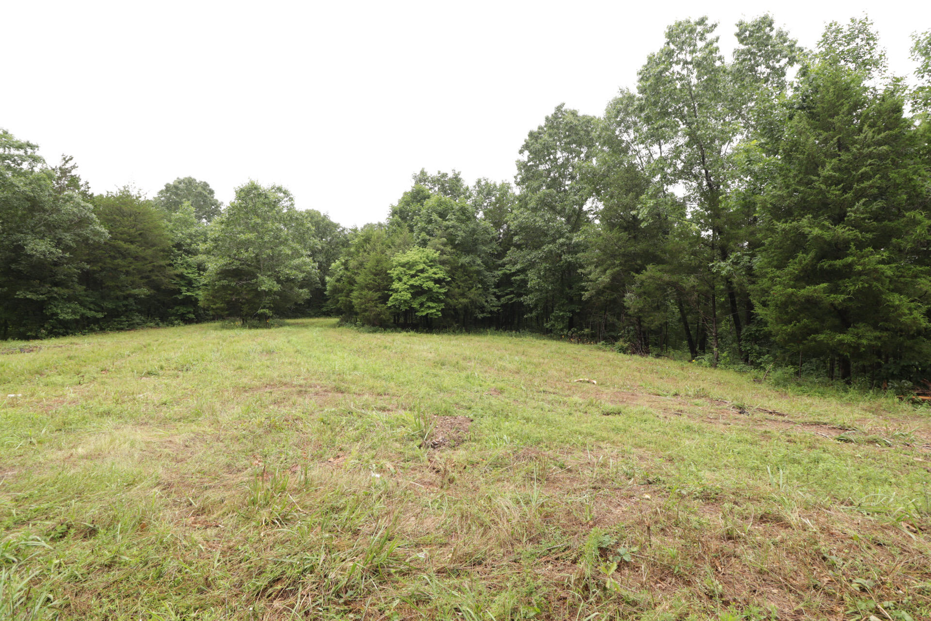 406 Horner Drive Property Photo 46