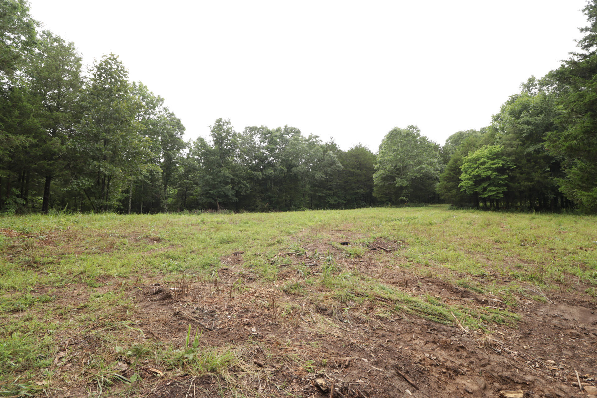 406 Horner Drive Property Photo 56
