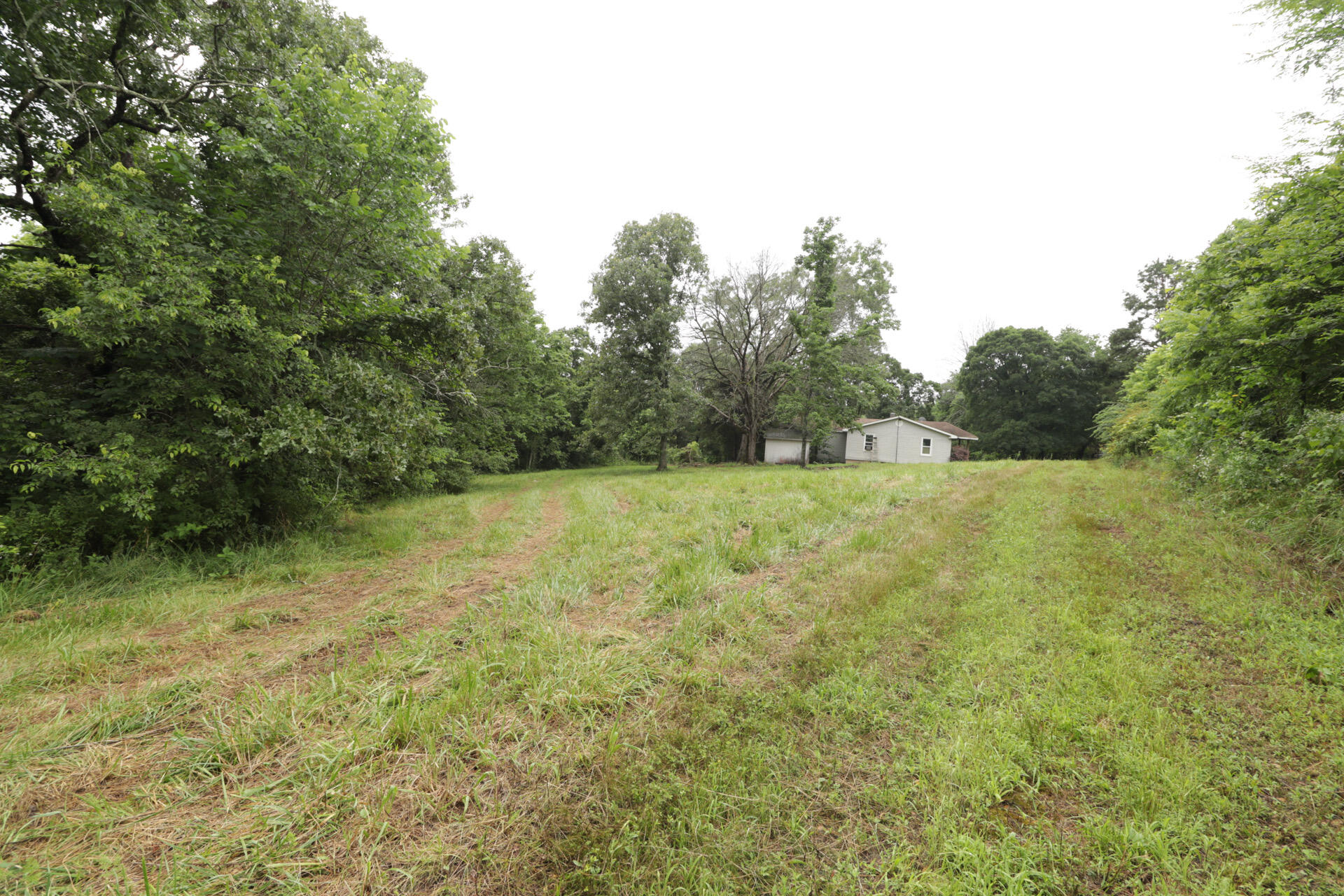 406 Horner Drive Property Photo 68