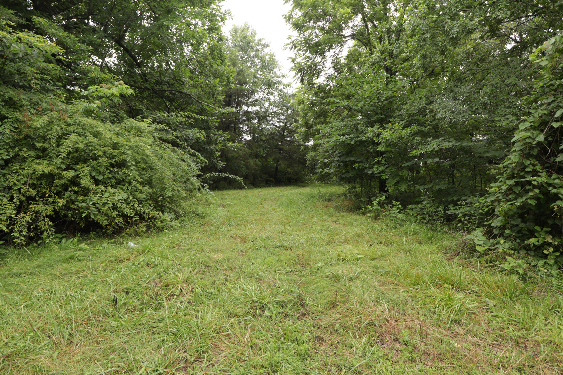 406 Horner Drive Property Photo 70