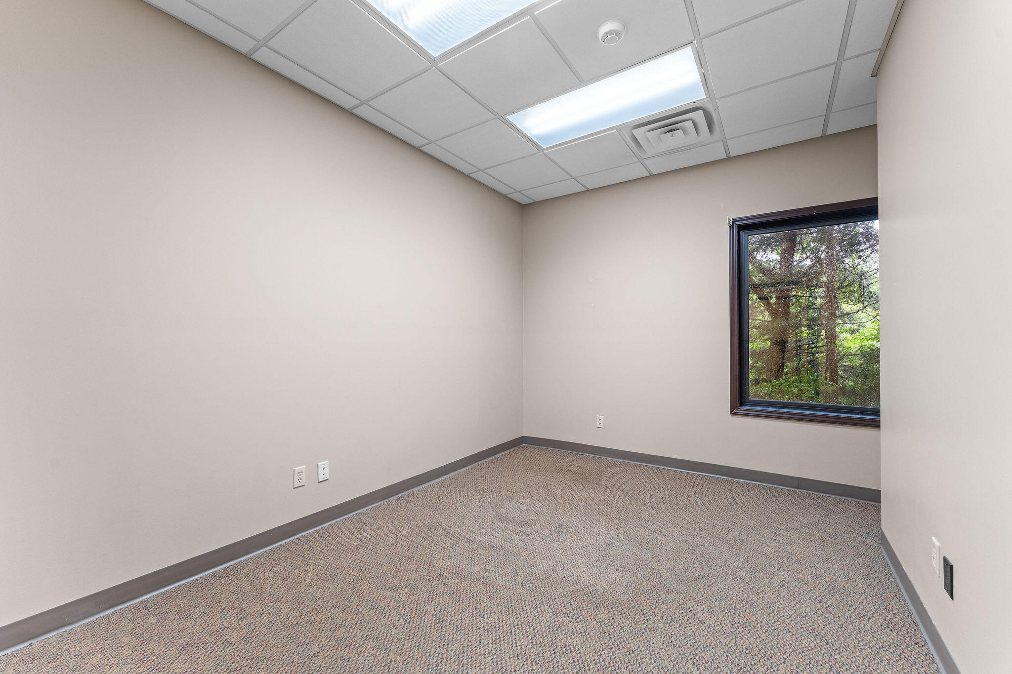 269 State Highway 248 Property Photo 30