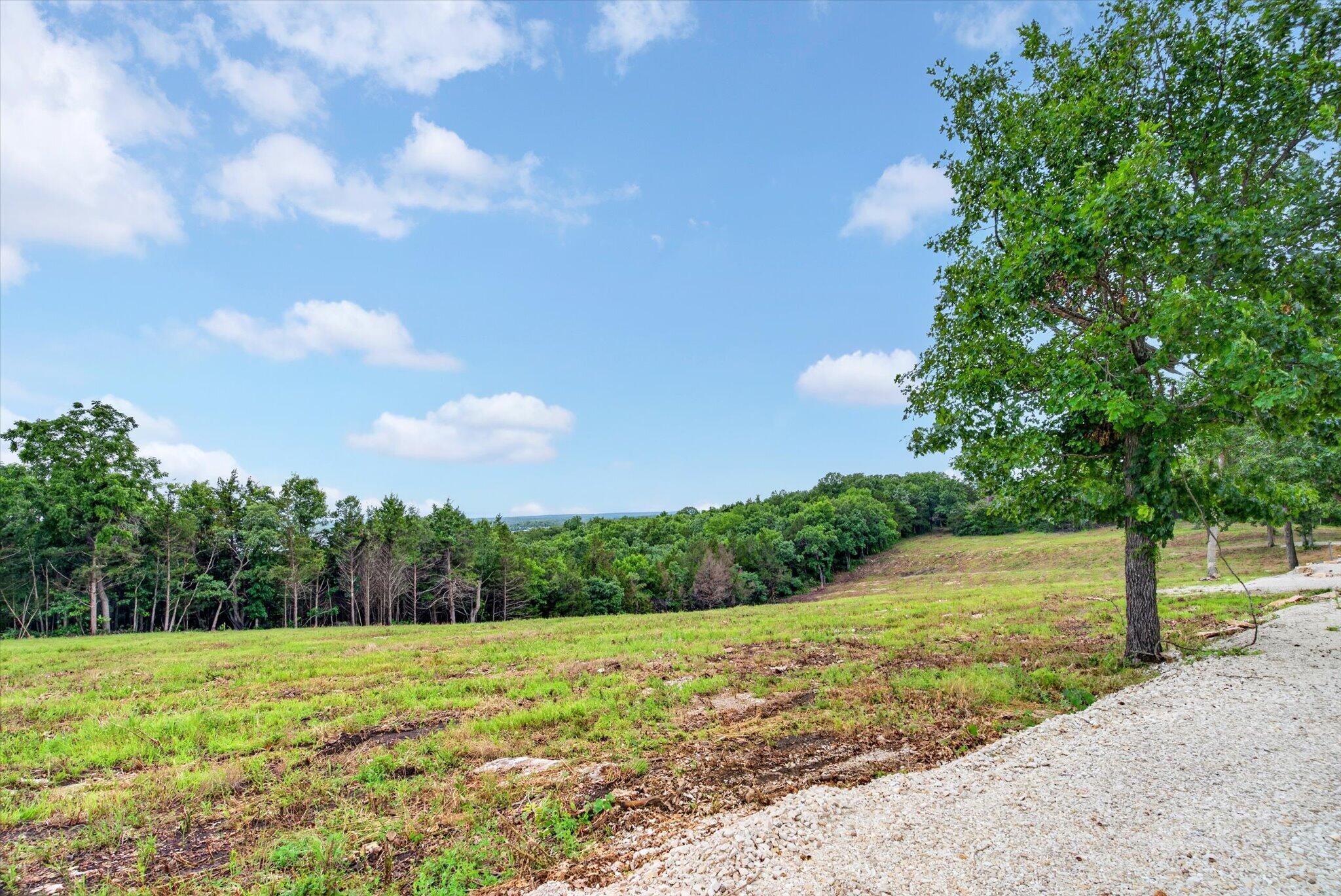 24164 State Highway 254 Lot 2 Property Photo 5
