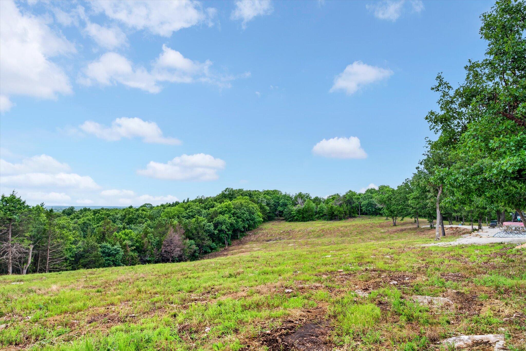 24164 State Highway 254 Lot 2 Property Photo 7