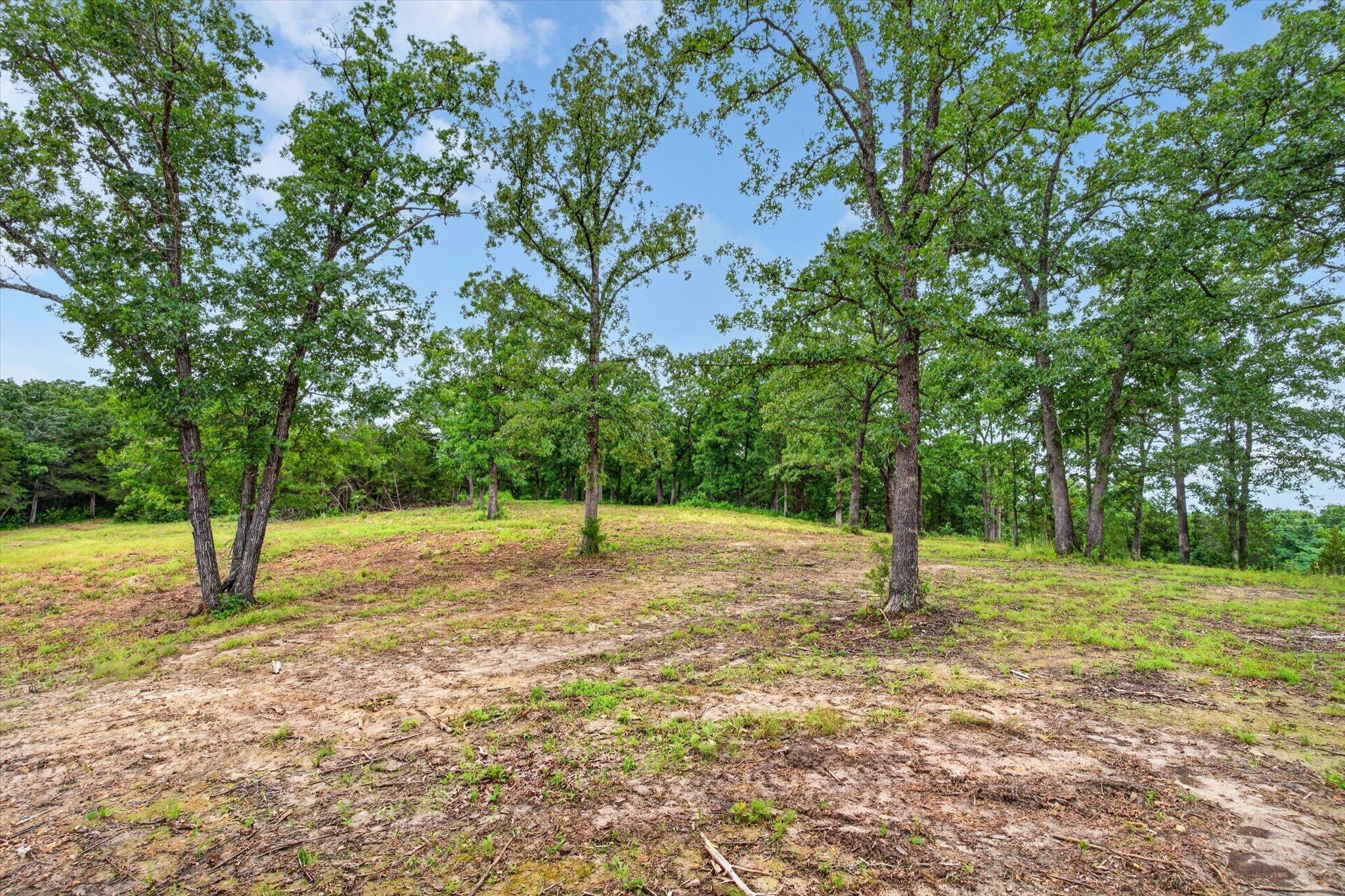 24164 State Highway 254 Lot 3 Property Photo 9