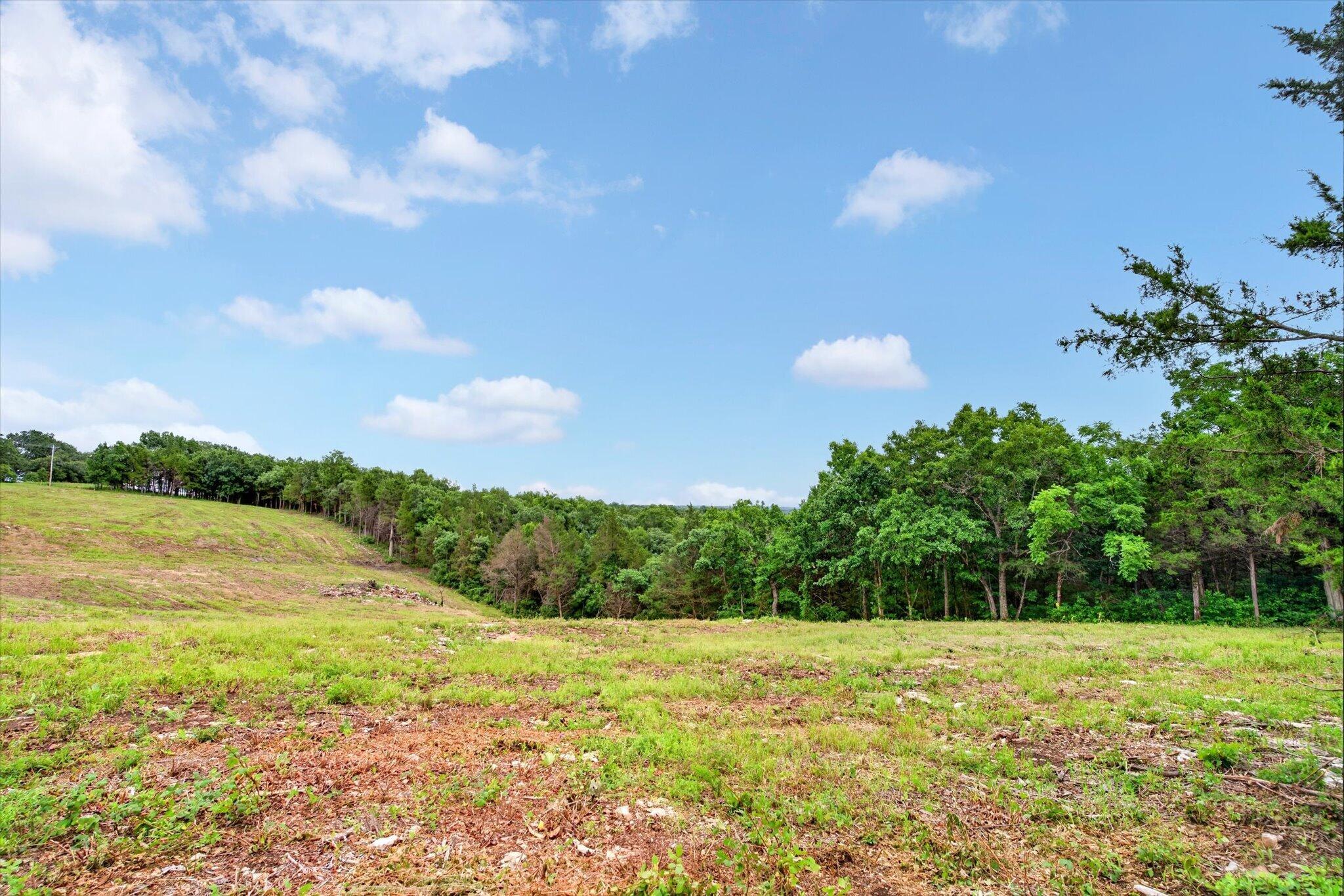 24164 State Highway 254 Lot 3 Property Photo 11