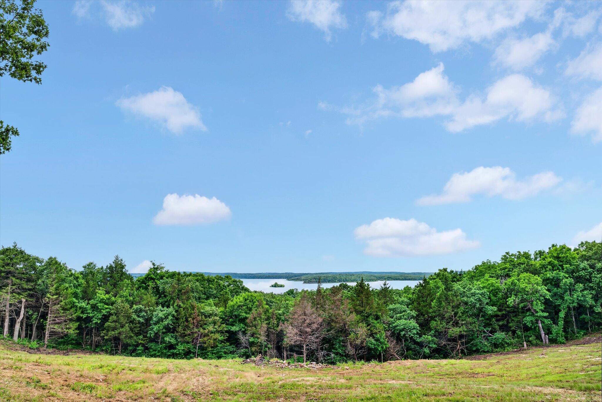 24164 State Highway 254 Lot 6 Property Photo 3