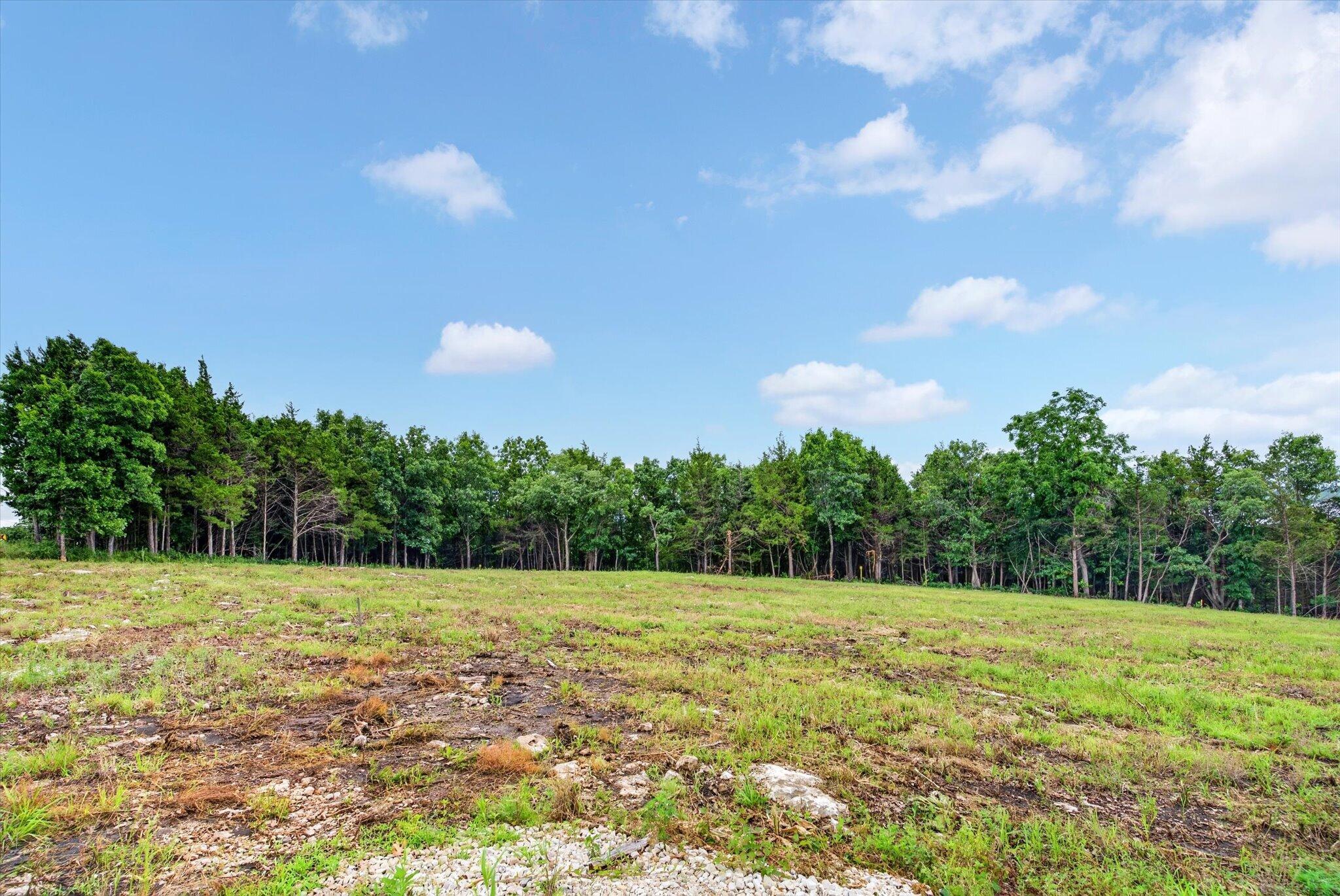 24164 State Highway 254 Lot 6 Property Photo 6