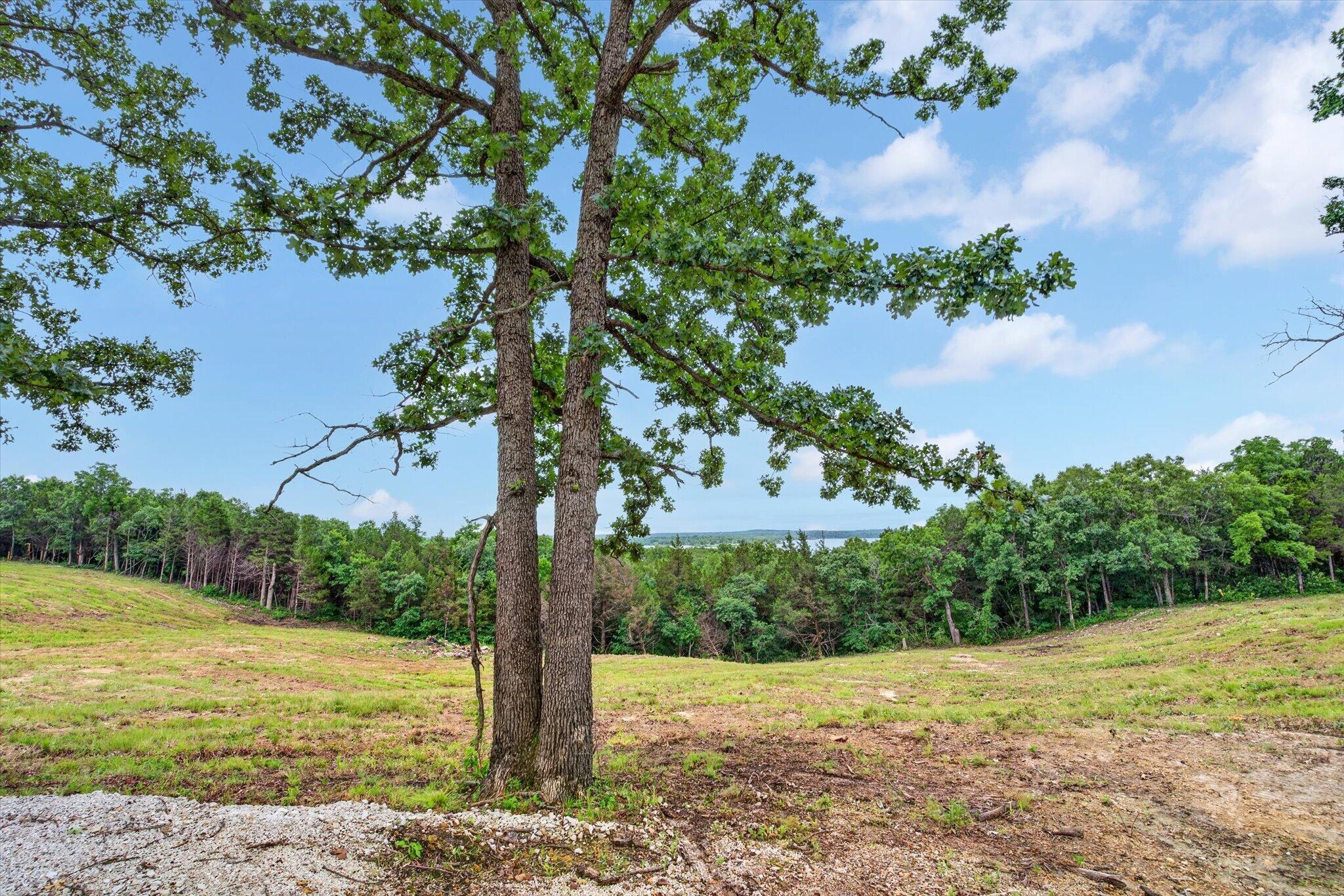 24164 State Highway 254 Lot 6 Property Photo 8