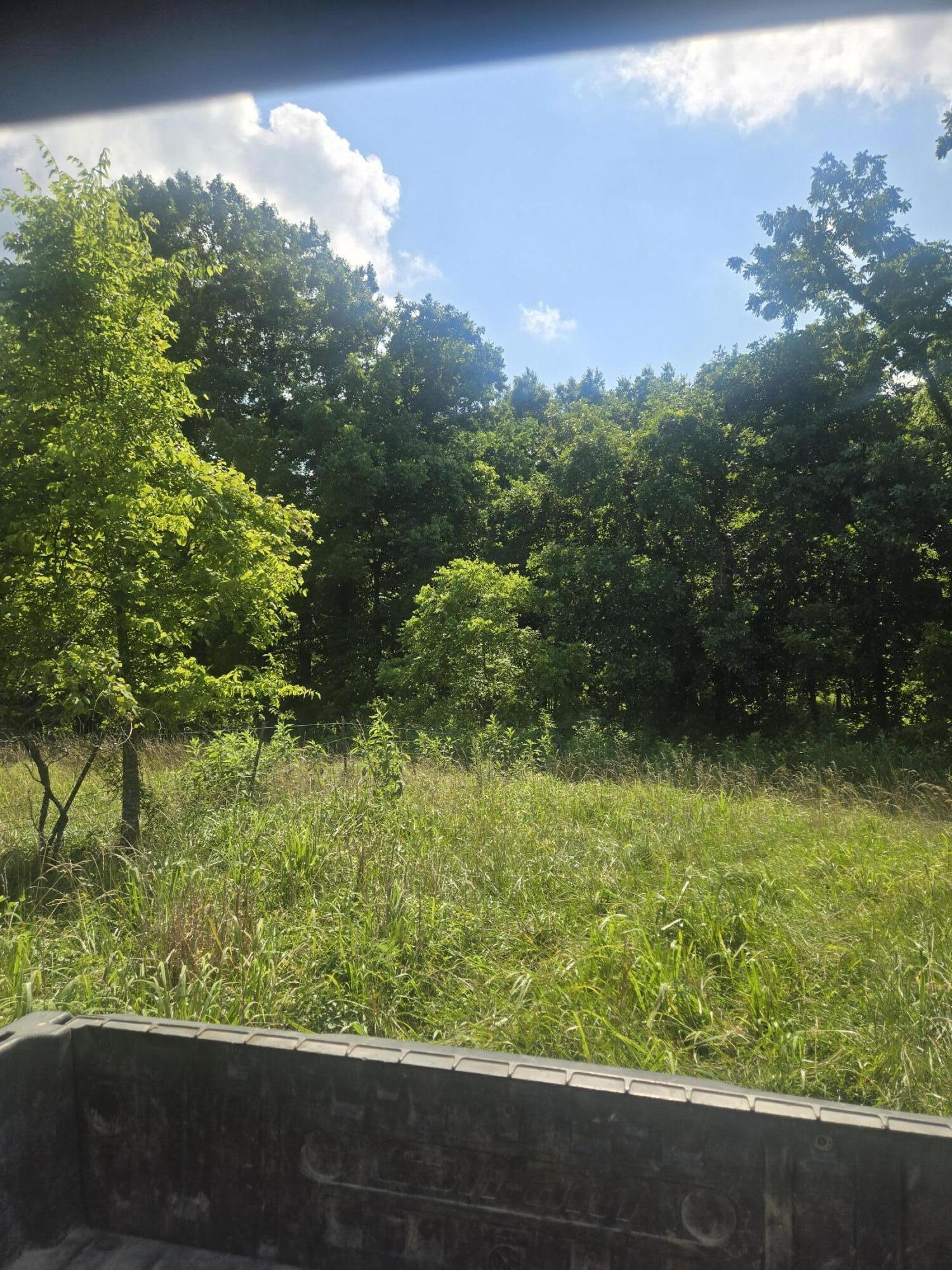 0000 Reaves Road Property Photo 6