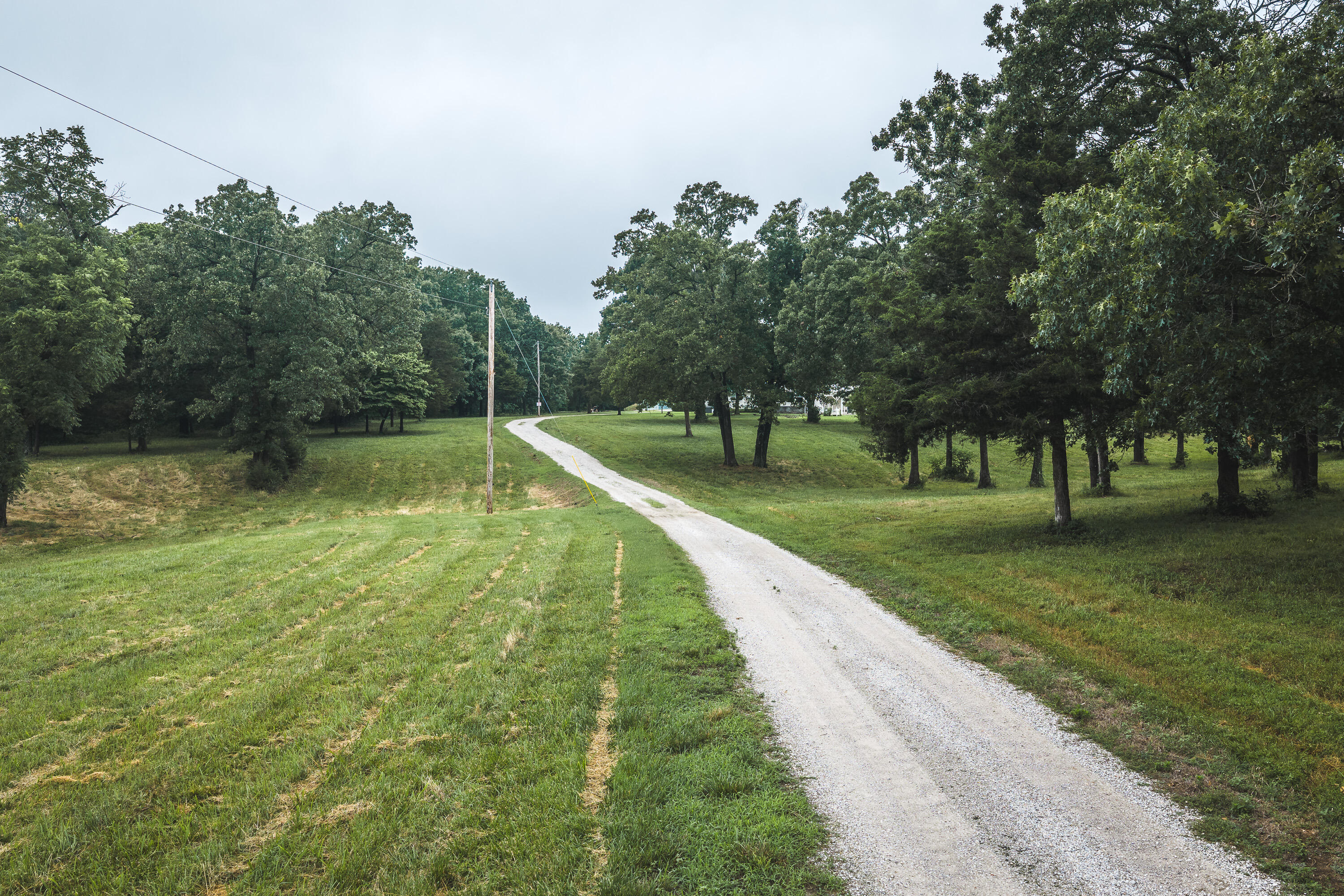1569 Spider K Road Property Photo 4
