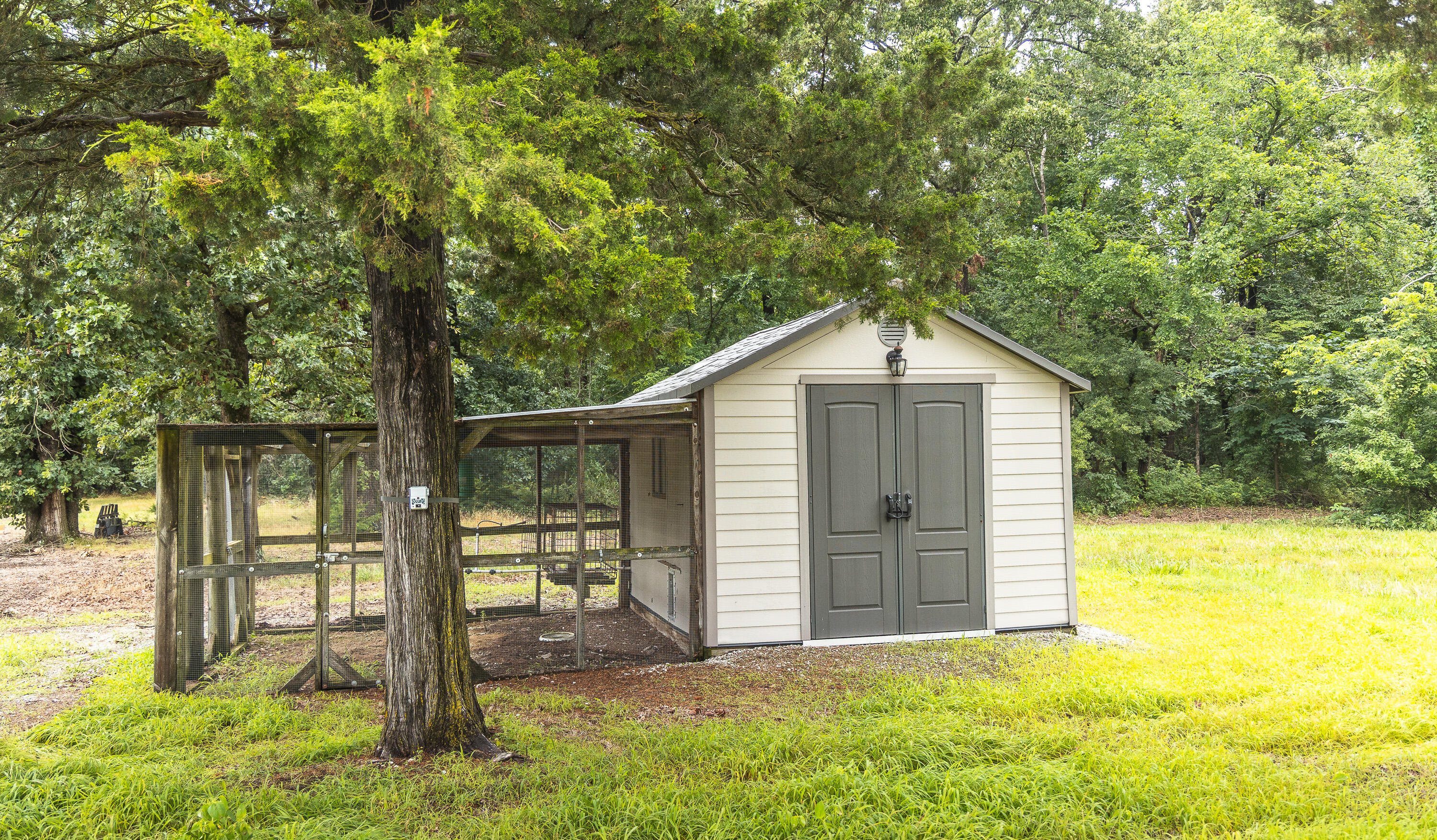 1569 Spider K Road Property Photo 12