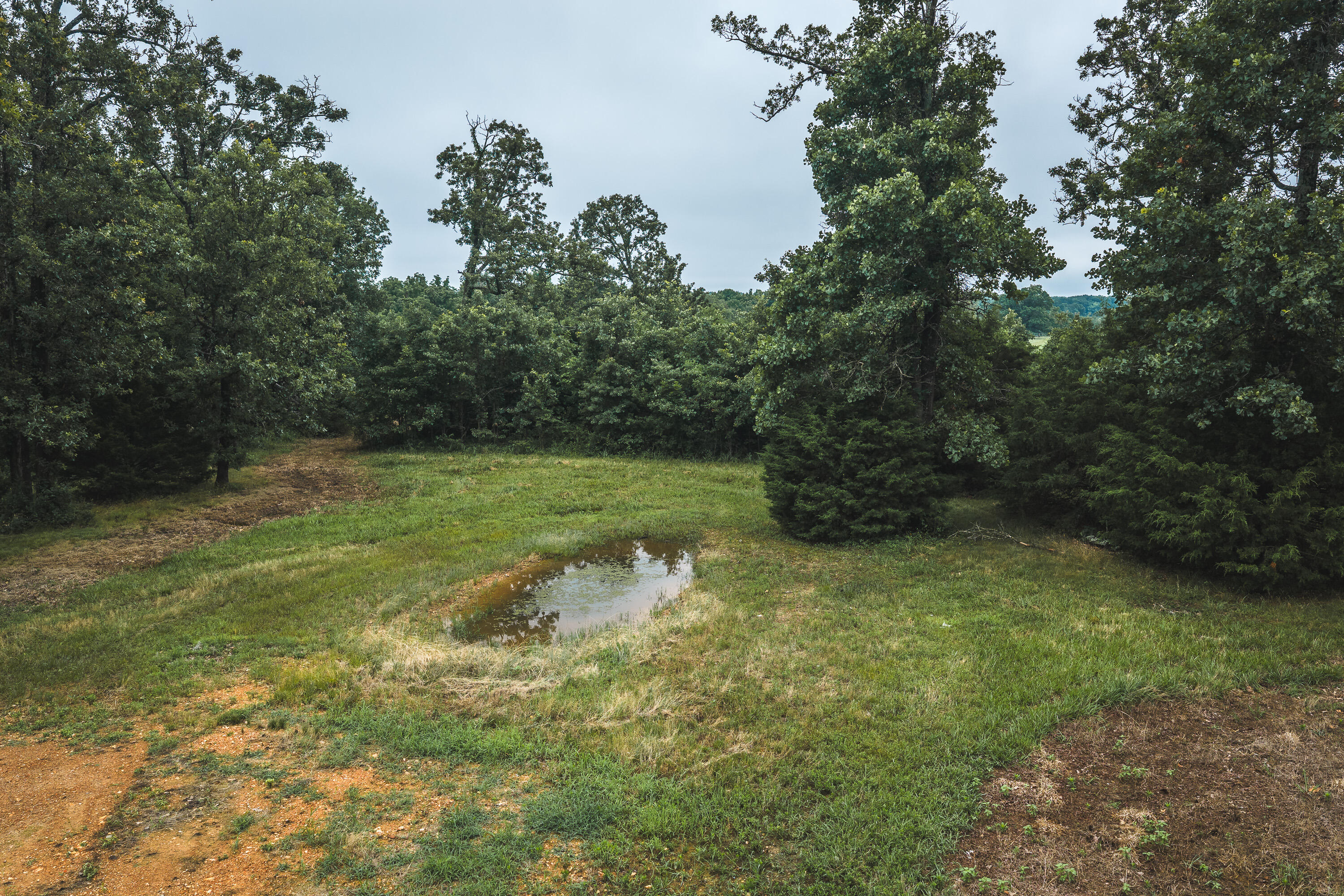 1569 Spider K Road Property Photo 59