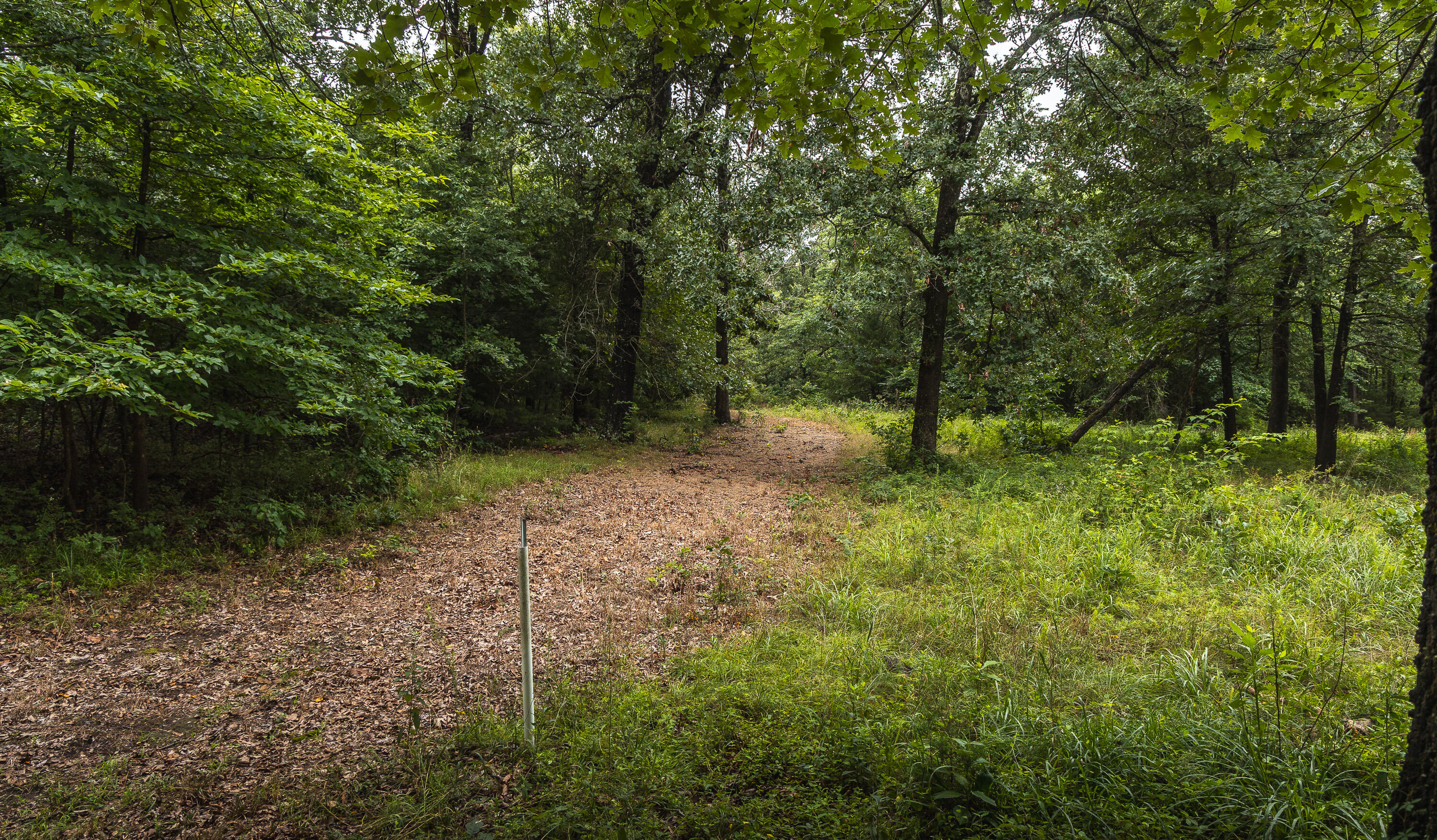 1569 Spider K Road Property Photo 63