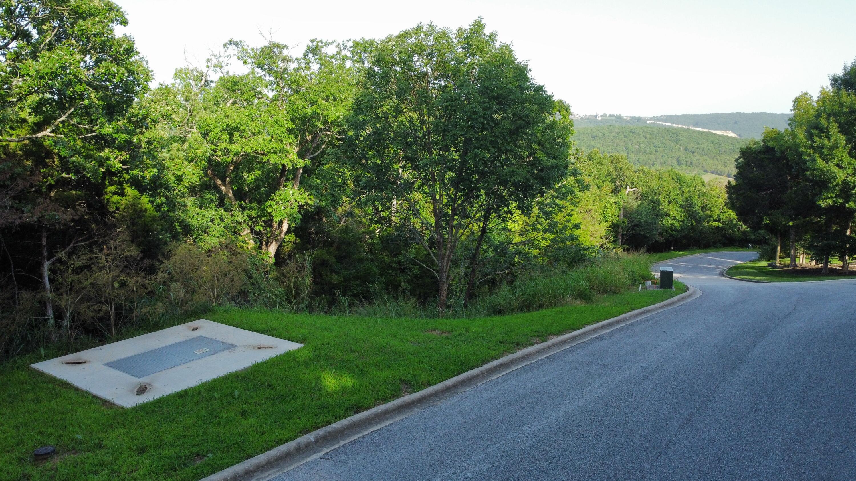 000 Flat Rock Road Lot 51 Property Photo 2