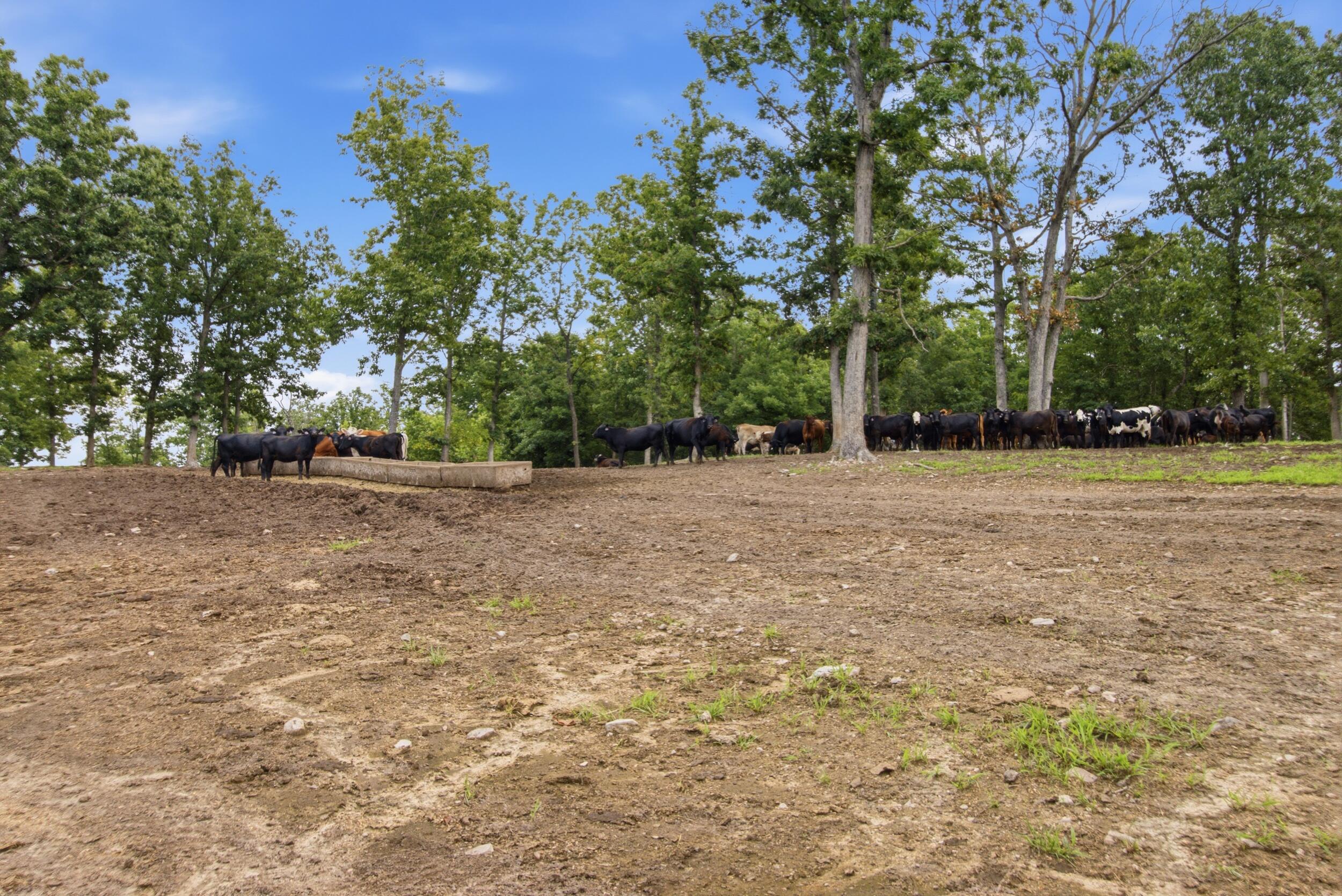 000 Gravel Point Road Property Photo 36