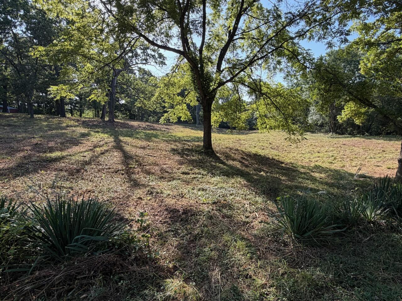 000 County Road 393 West Property Photo 1