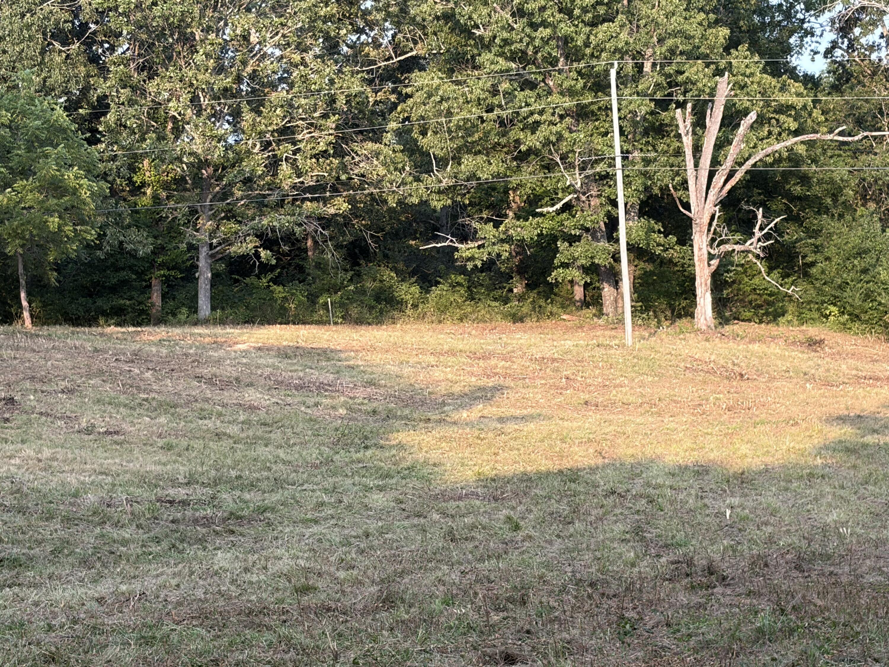 000 County Road 393 West Property Photo 3