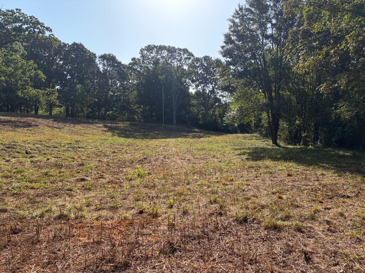 000 County Road 393 West Property Photo 4