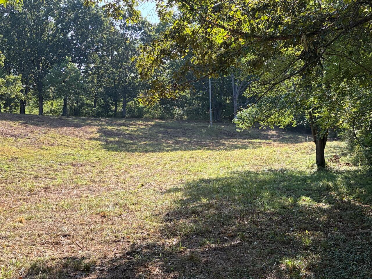 000 County Road 393 West Property Photo 5