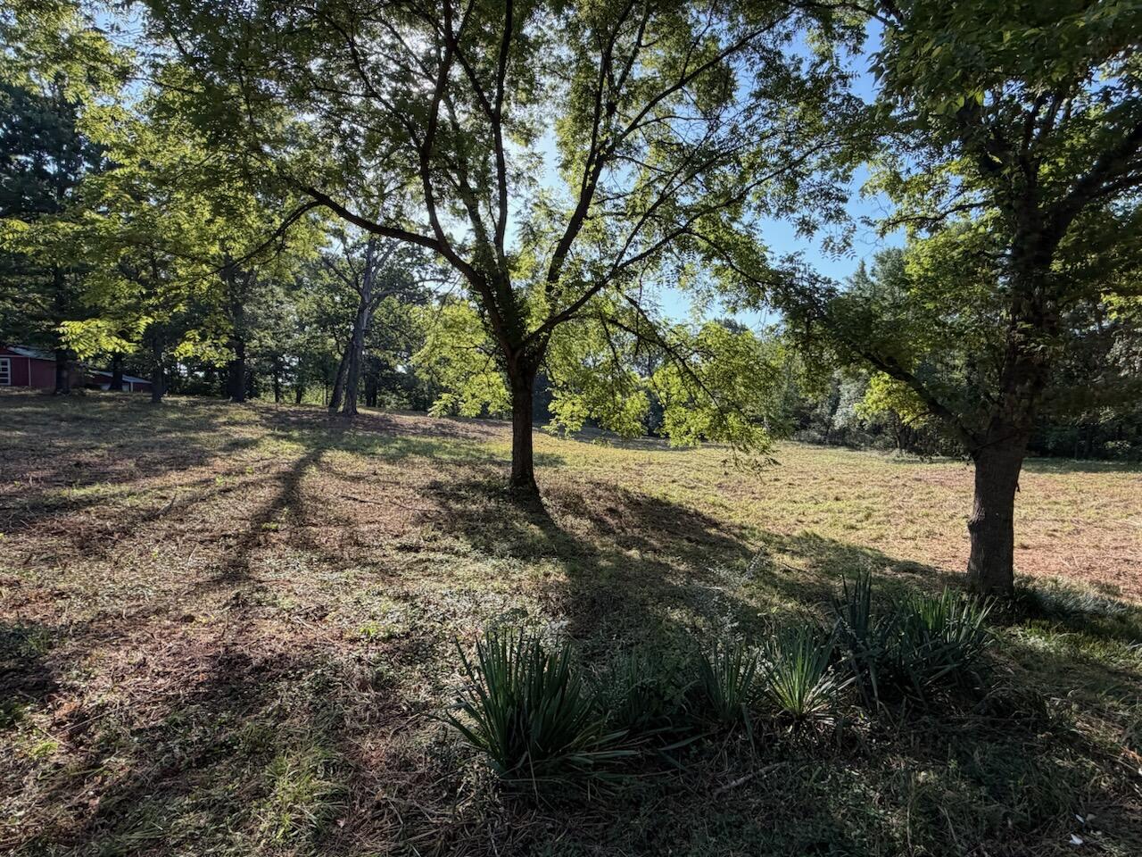 000 County Road 393 West Property Photo 6