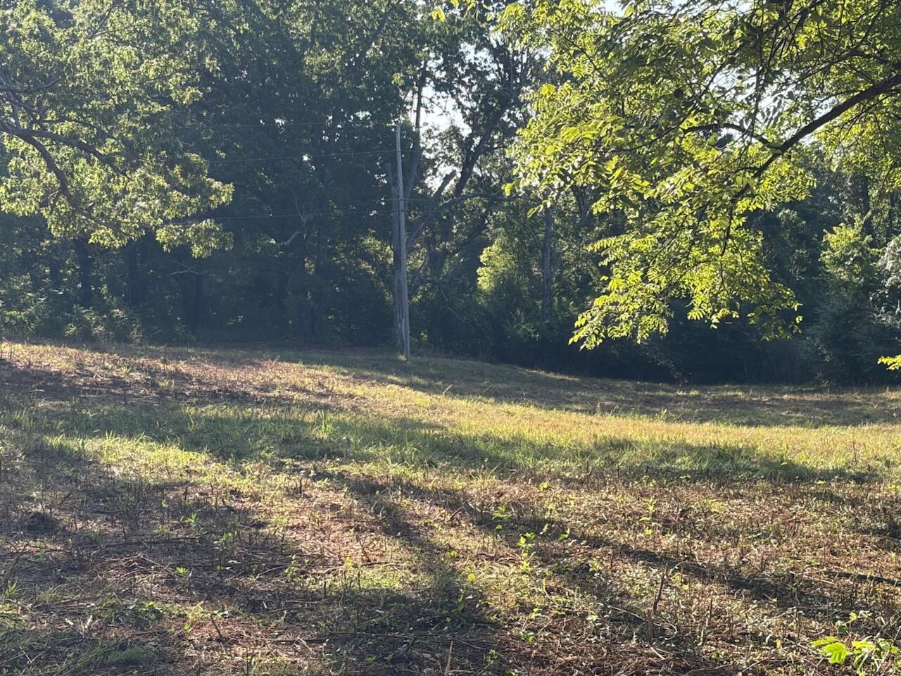 000 County Road 393 West Property Photo 7
