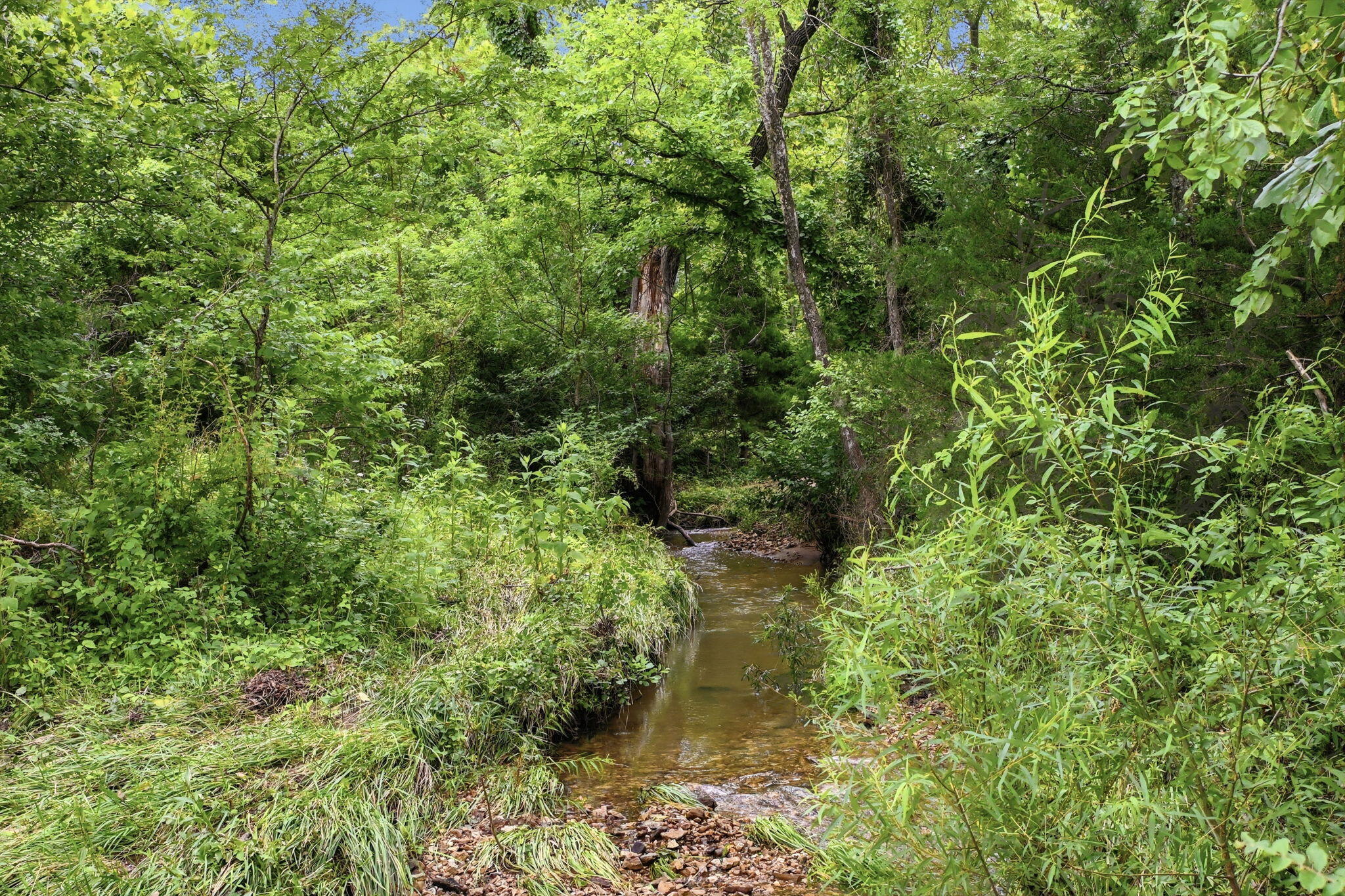 17445 East 418 Road Property Photo 11