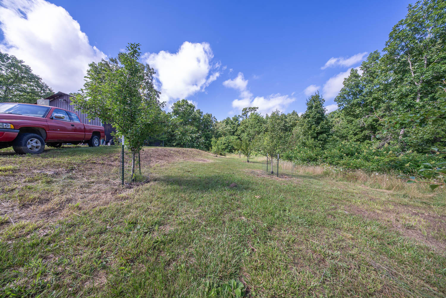 10835 U.s. Highway 63 Property Photo 47