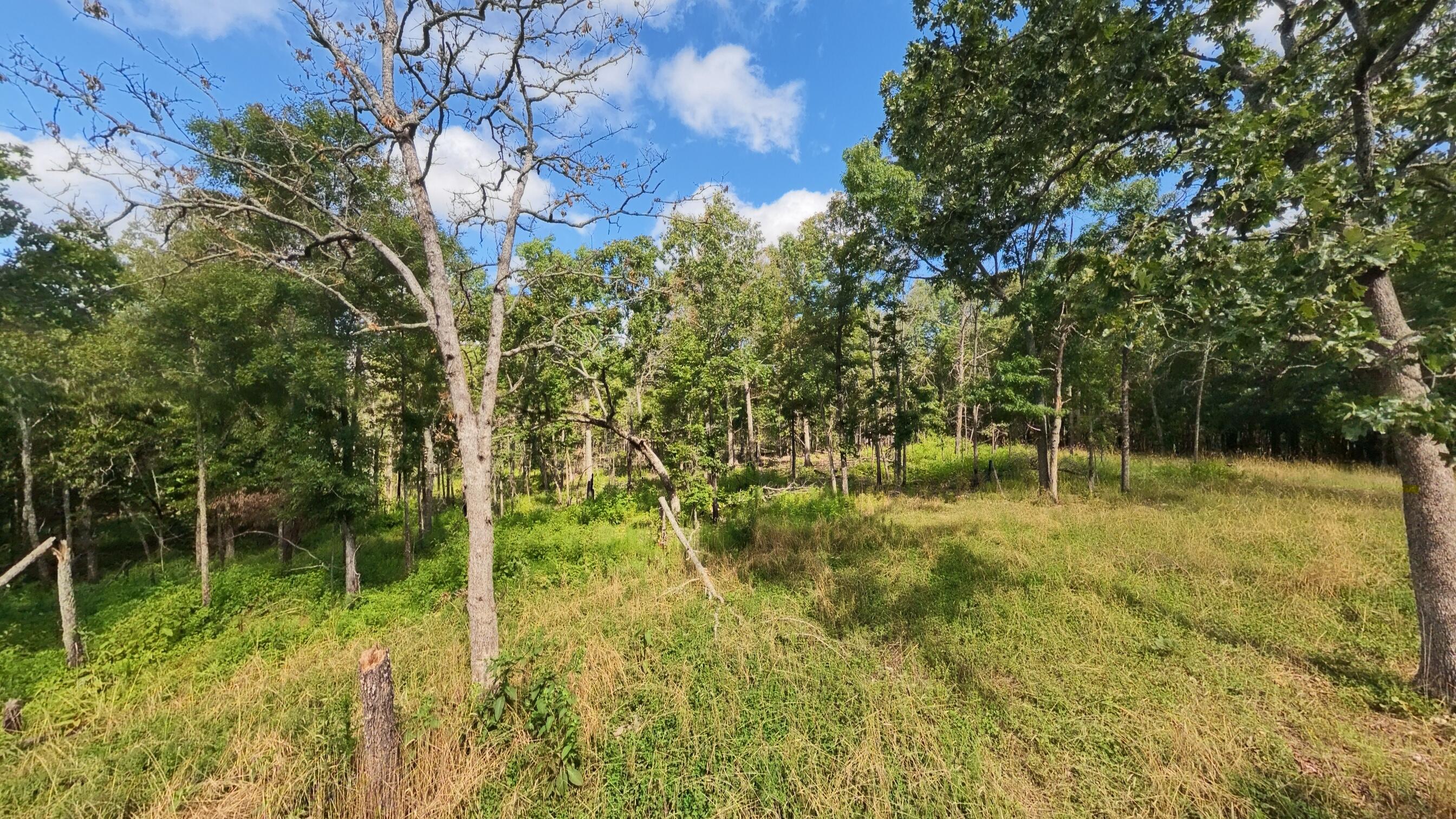 10835 U.s. Highway 63 Property Photo 62