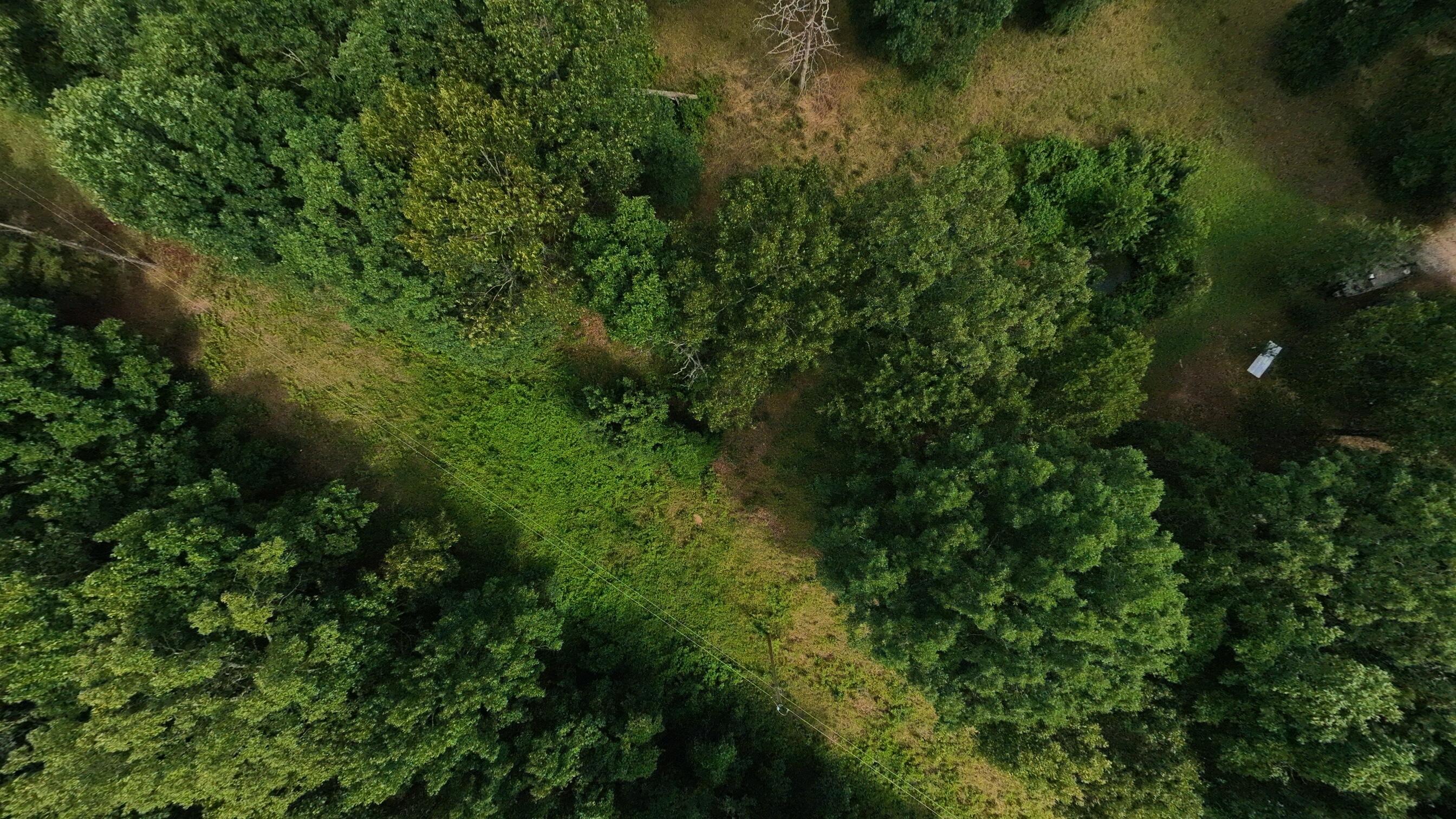 10835 U.s. Highway 63 Property Photo 68
