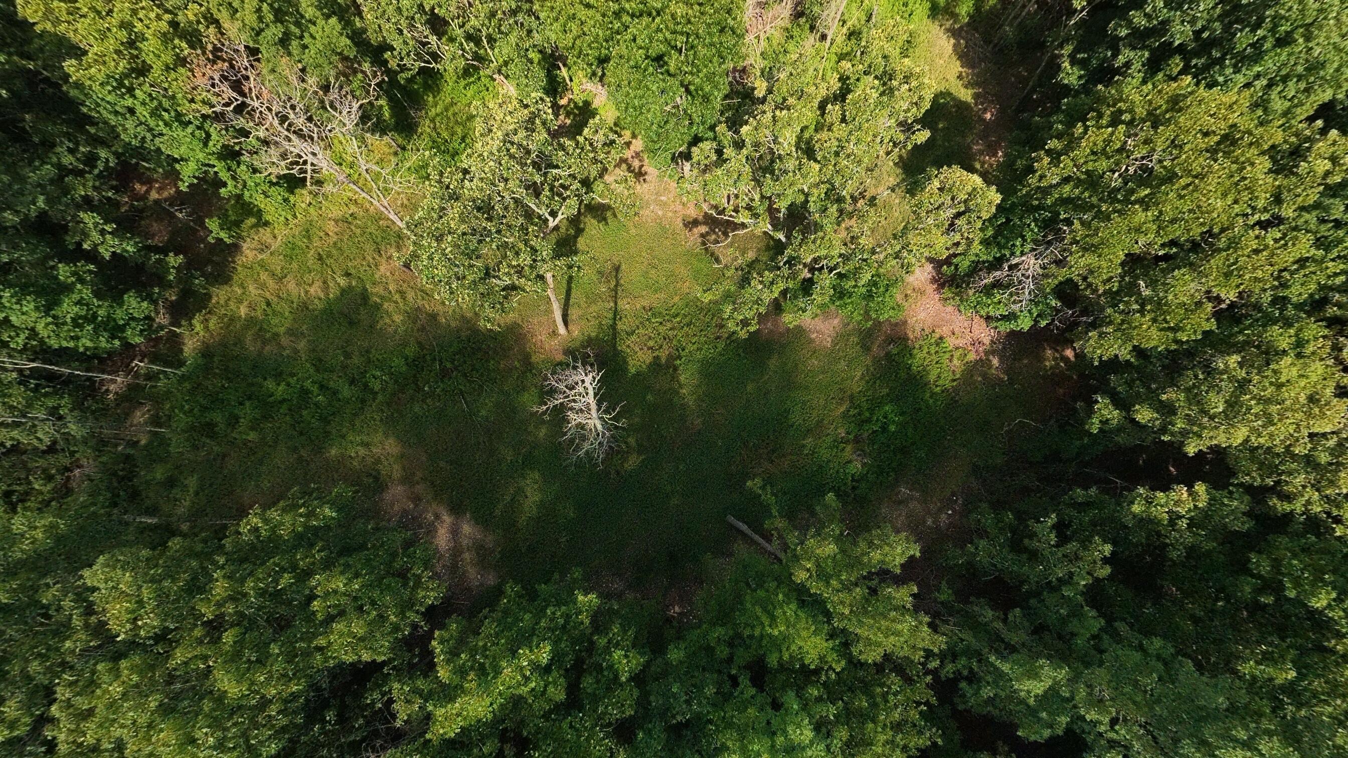 10835 U.s Highway 63 Property Photo 66