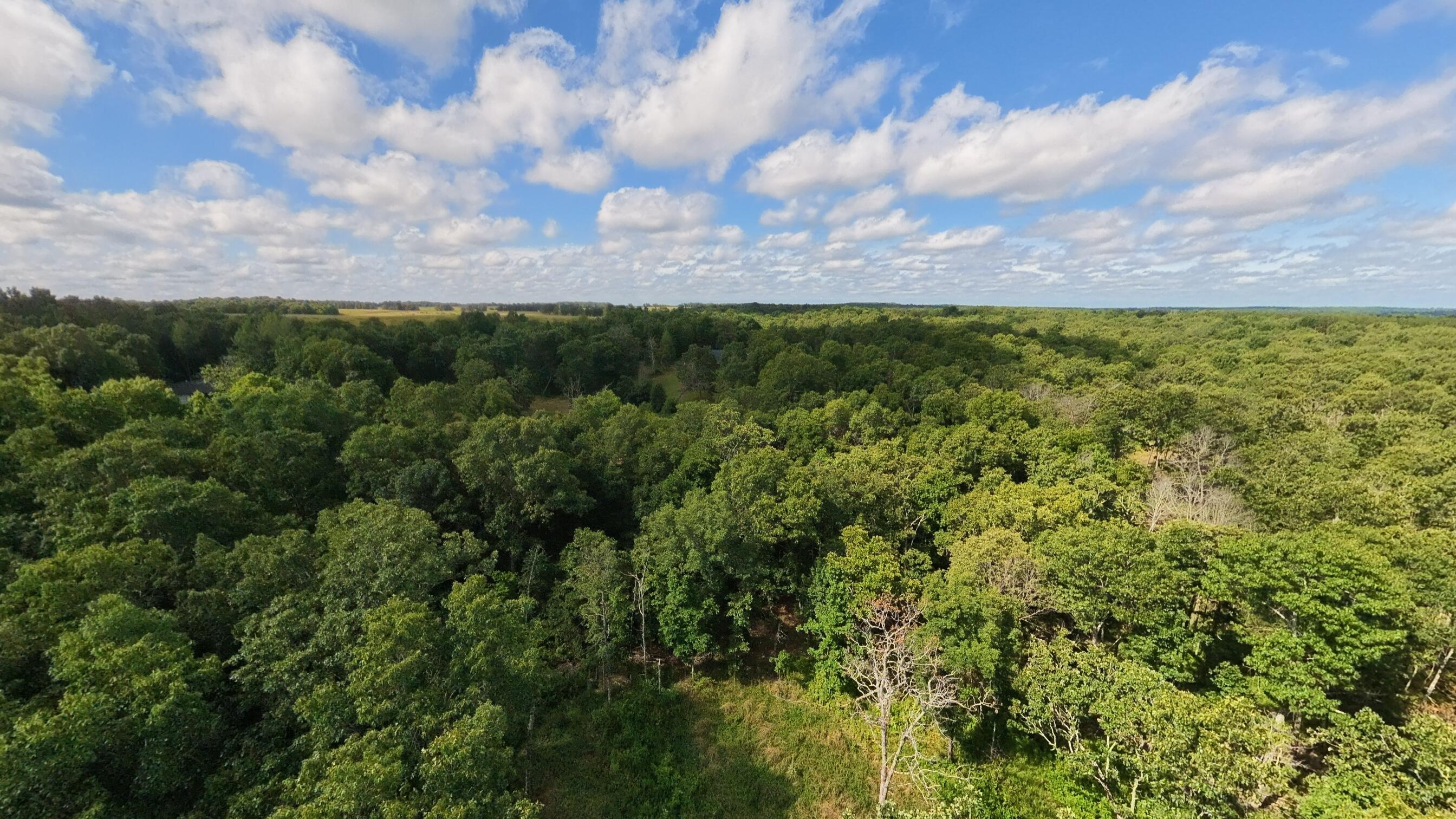 10835 U.s Highway 63 Property Photo 67