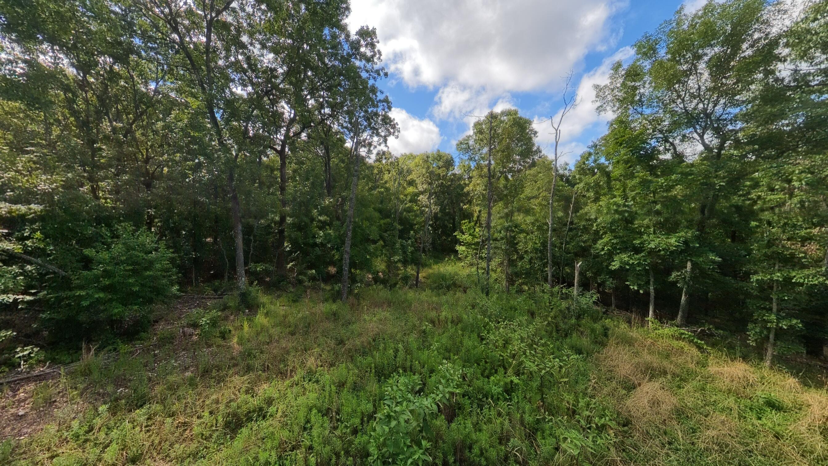 10835 U.s Highway 63 Property Photo 68
