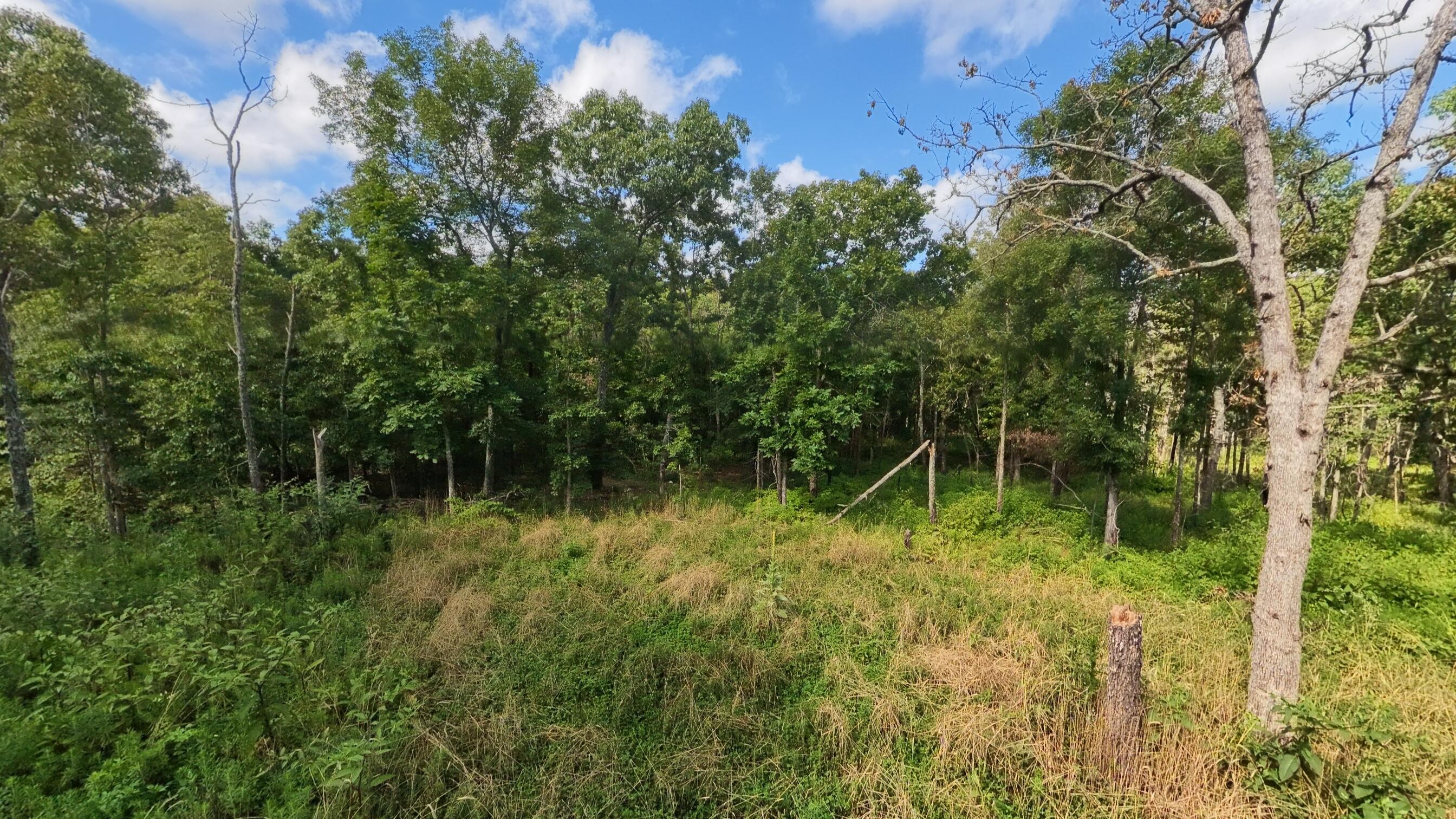 10835 U.s Highway 63 Property Photo 69