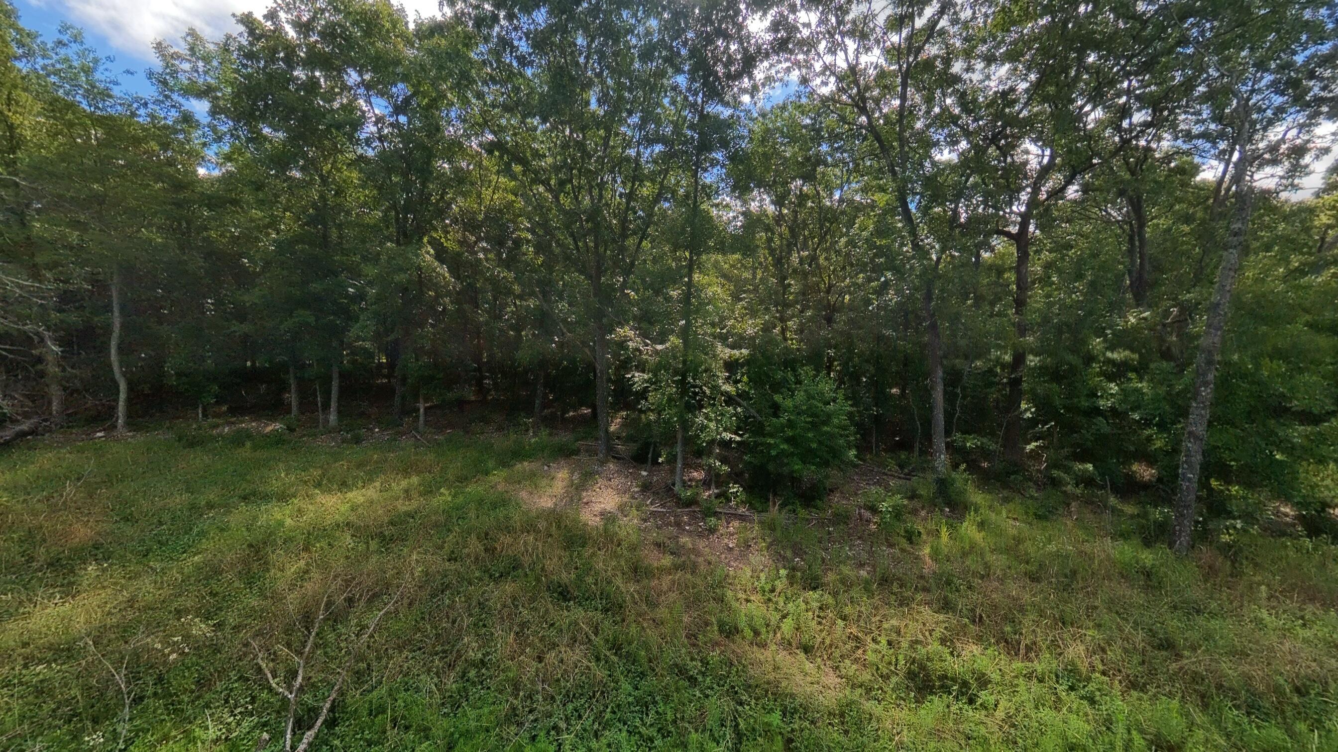 10835 U.s Highway 63 Property Photo 71
