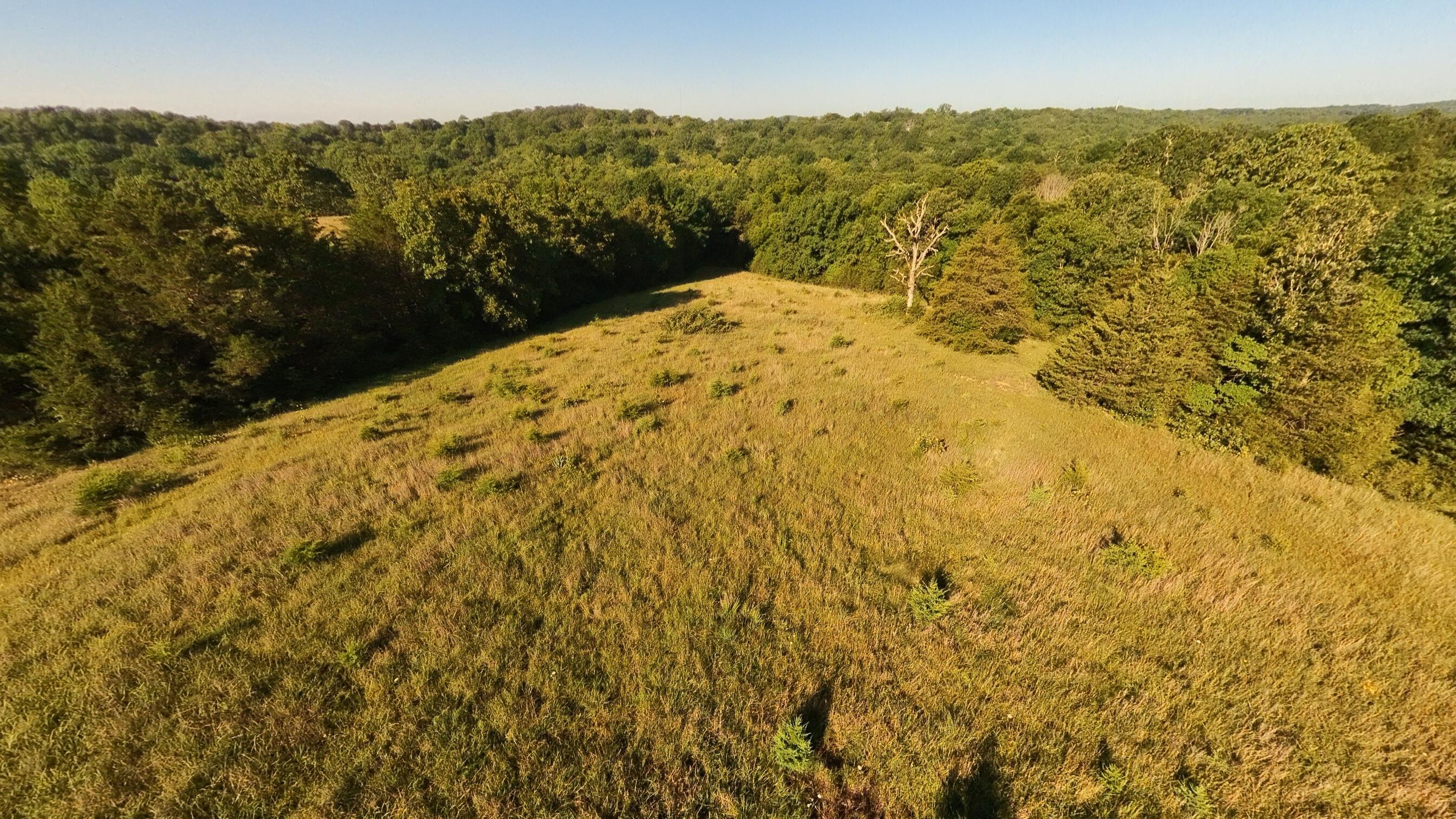 000 Foxden Drive Lot 2 Property Photo 5