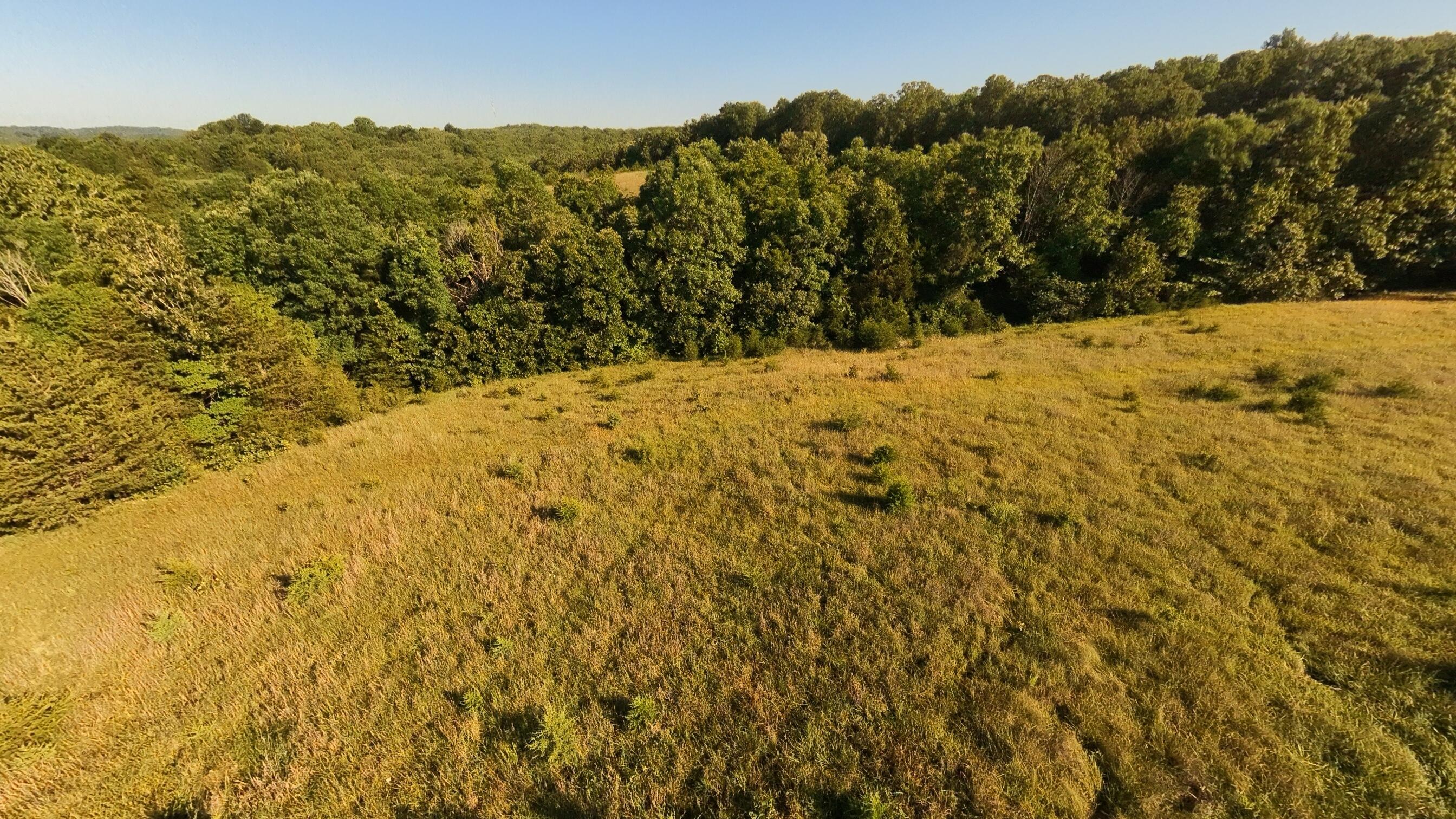 000 Foxden Drive Lot 2 Property Photo 6